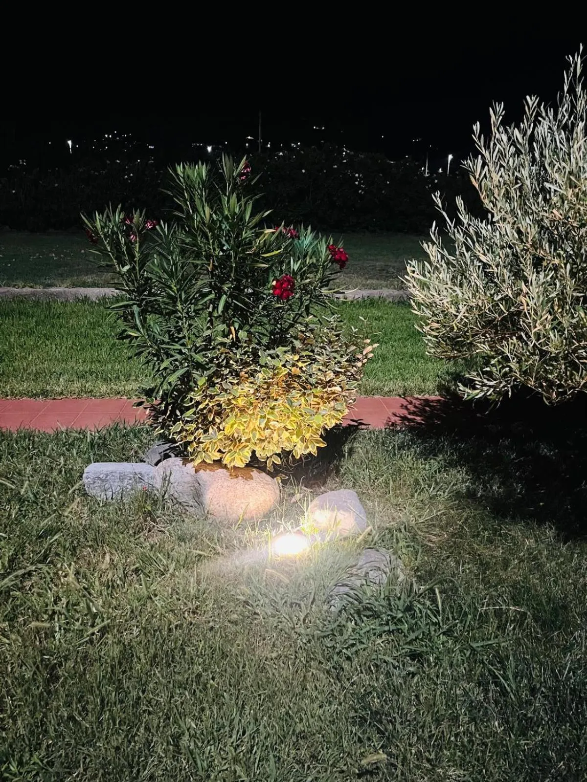 Spring in Hotel La Lampara