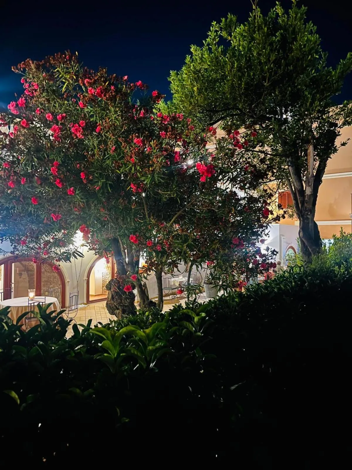 Restaurant/places to eat in Hotel La Lampara