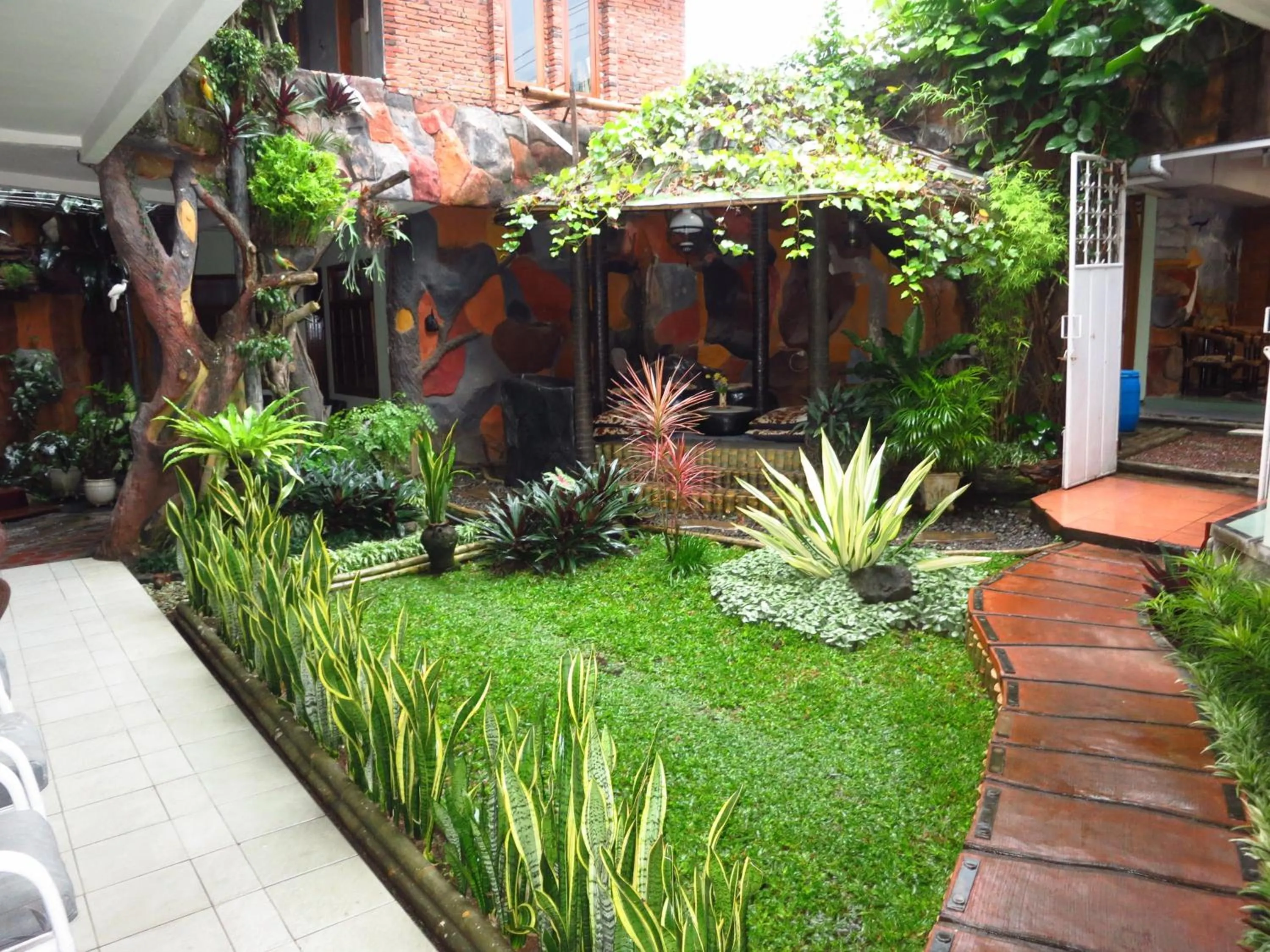 Garden in Enny's Guest House