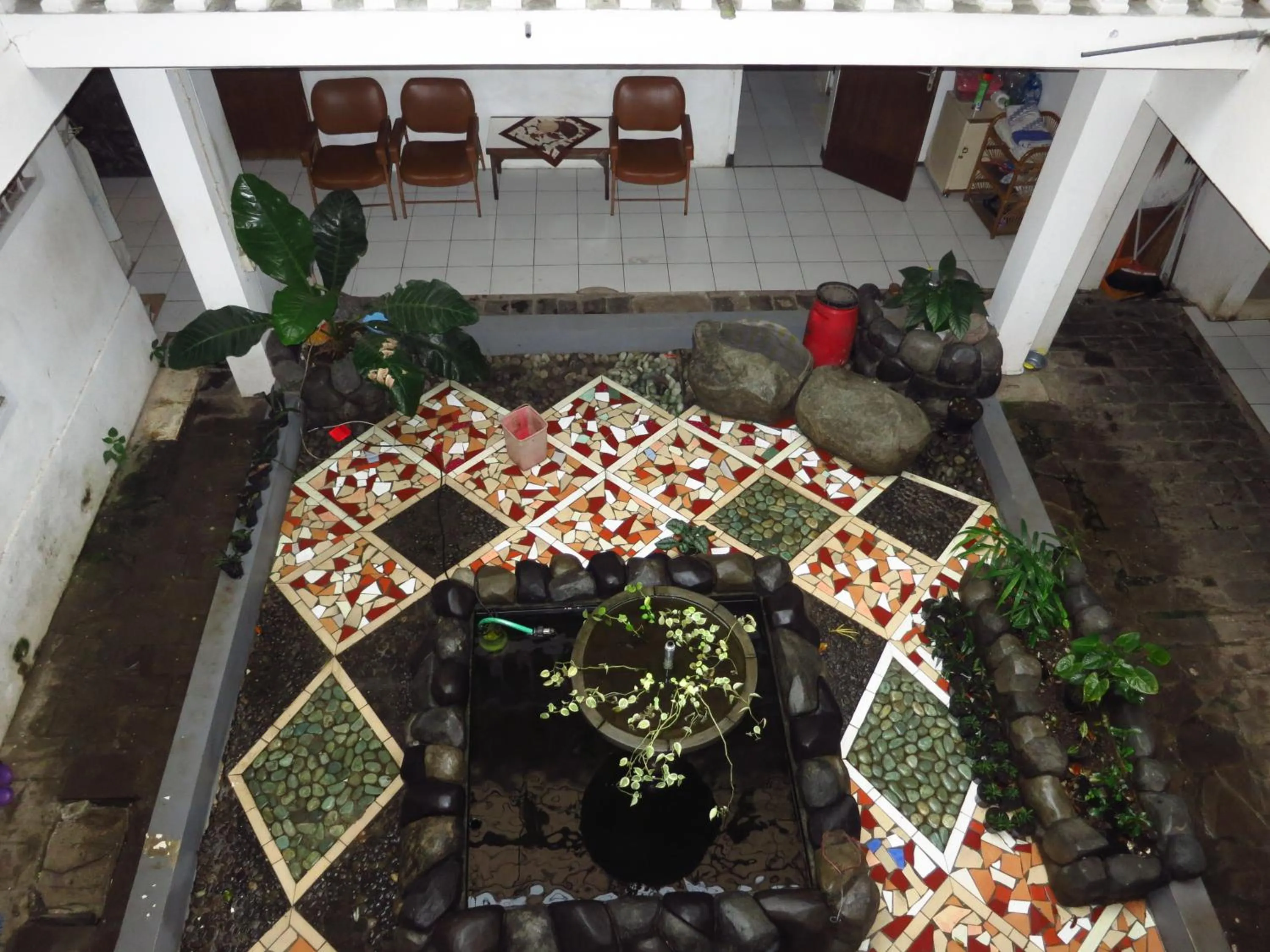 Garden in Enny's Guest House