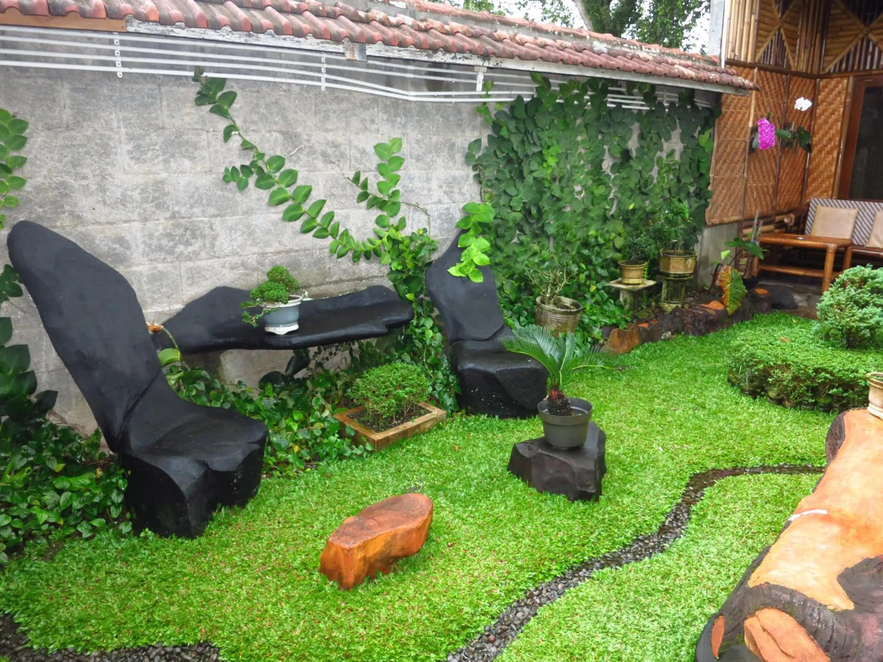 Garden in Enny's Guest House