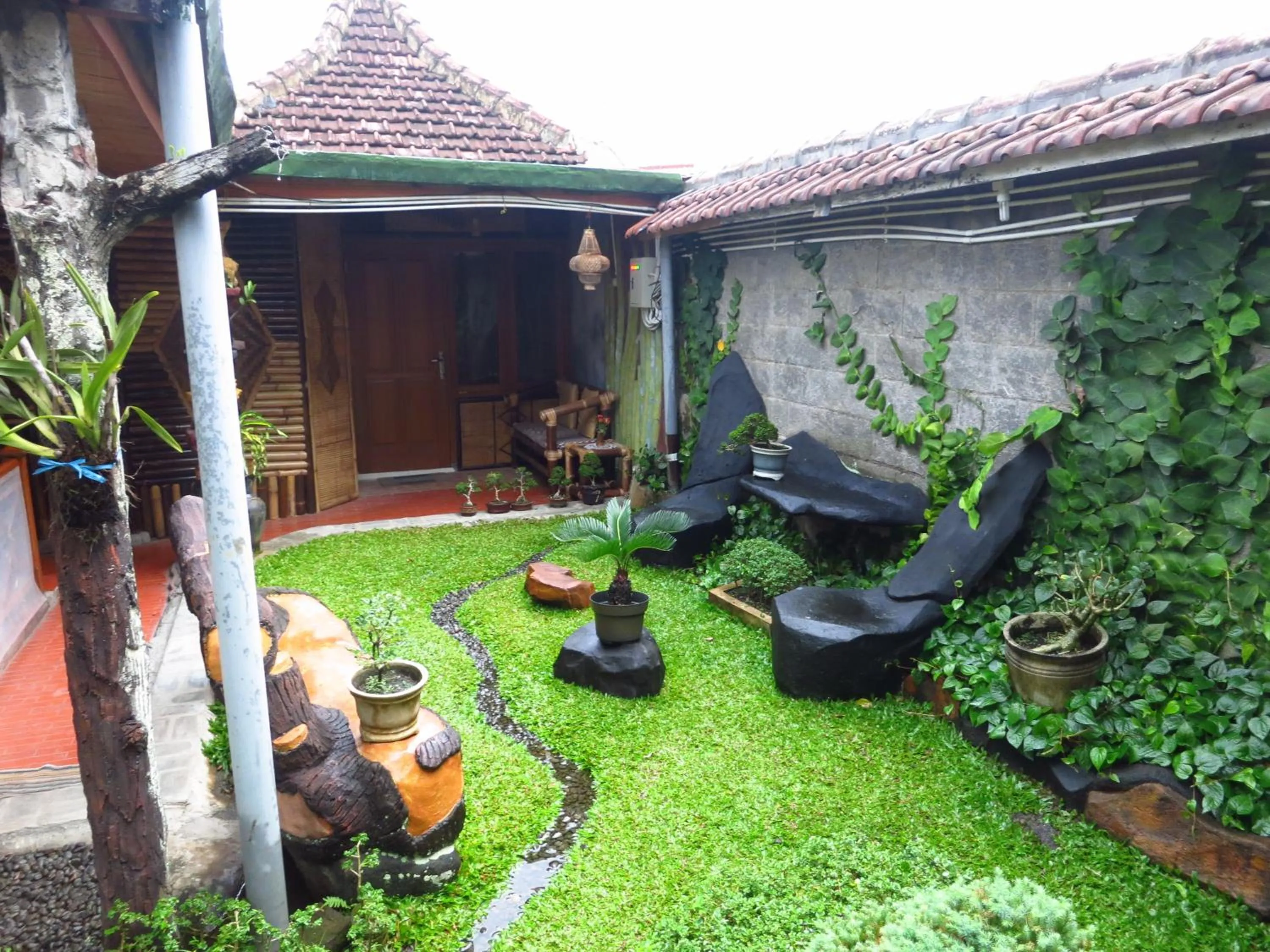 Garden in Enny's Guest House