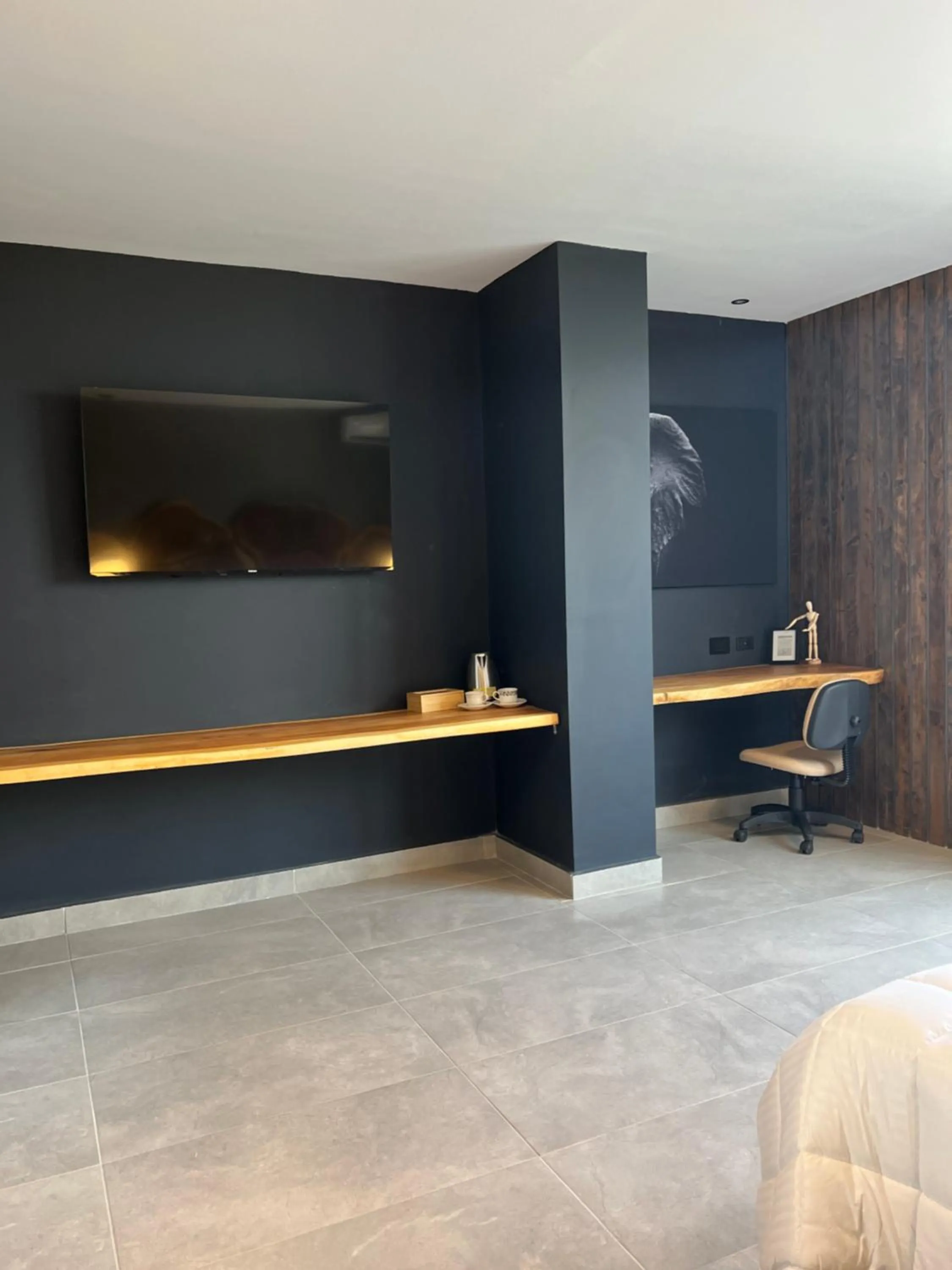 TV and multimedia in Hotel Zelva Negra