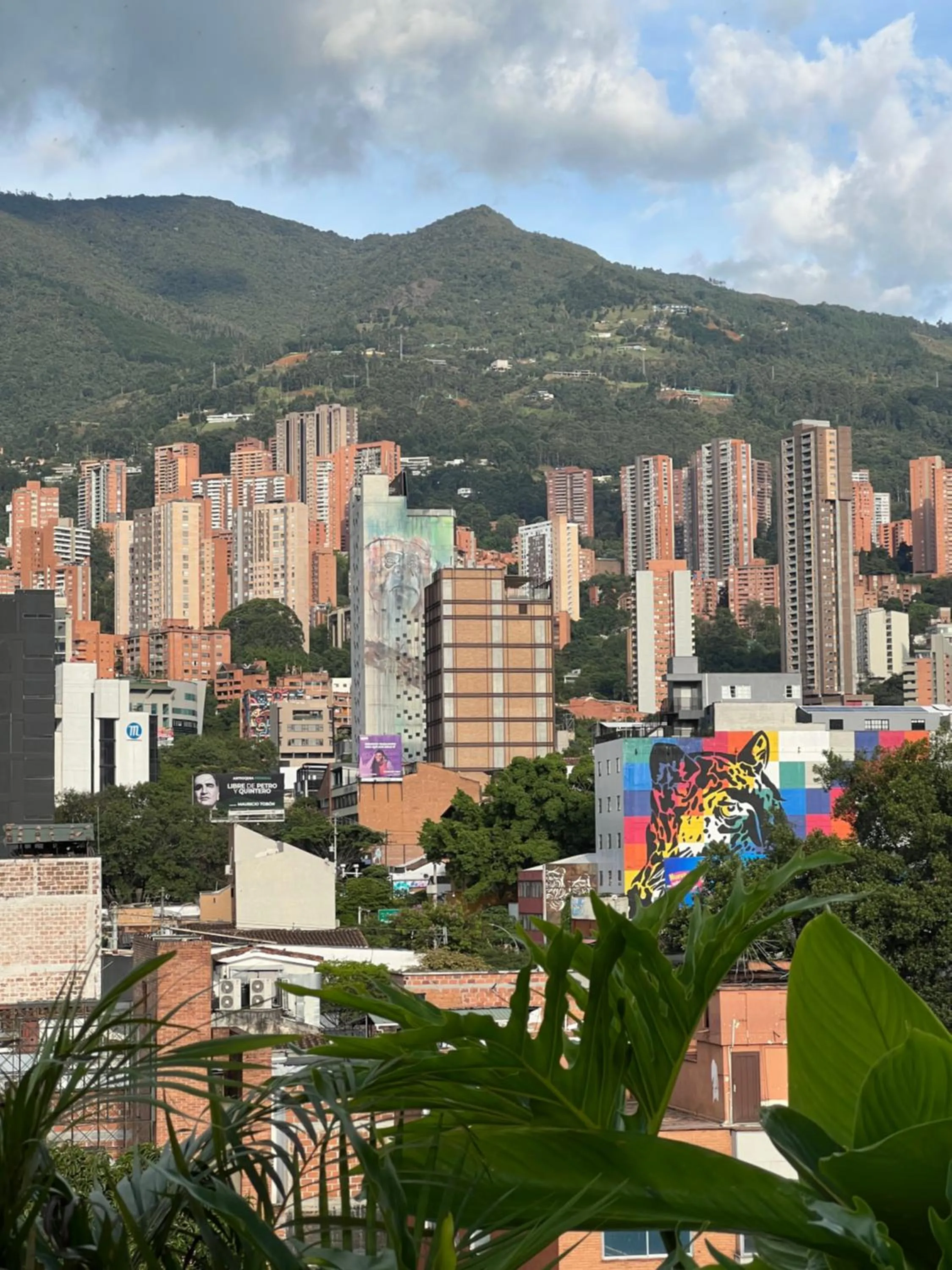 Day in Hotel Zelva Negra