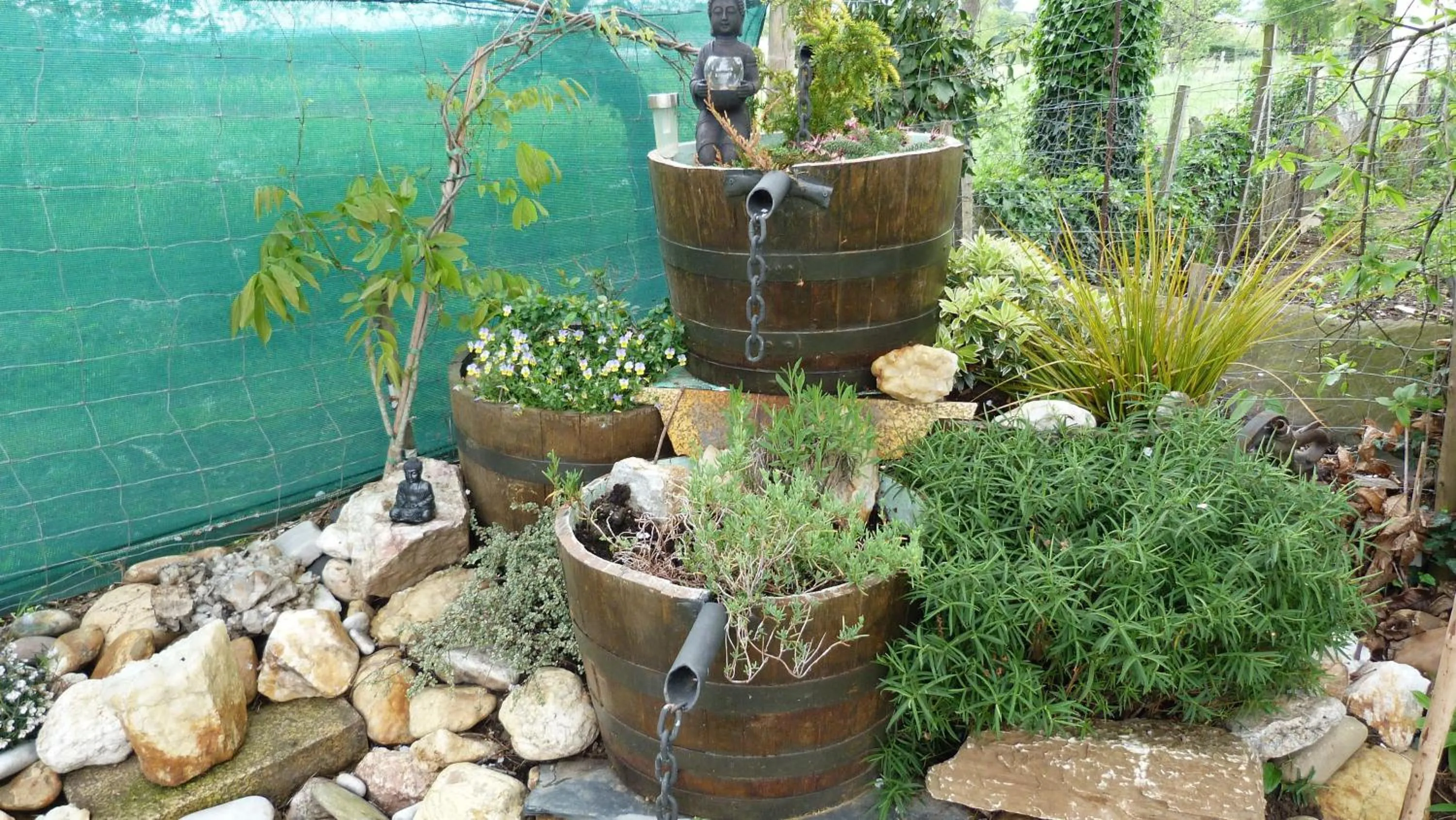 Garden in Pensión Albergue A Pedra