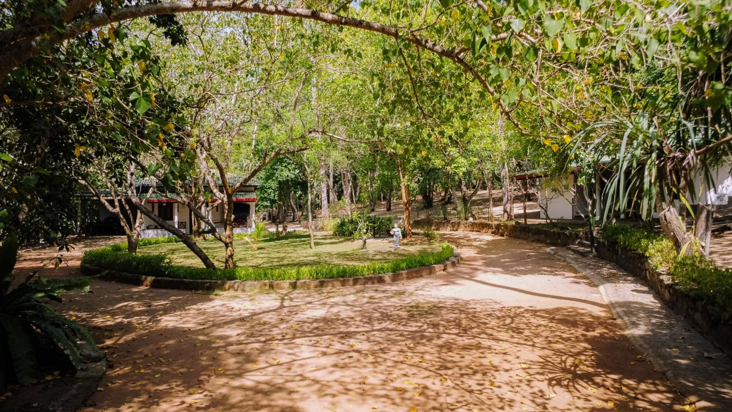 Garden in The Waves Beach Chalets