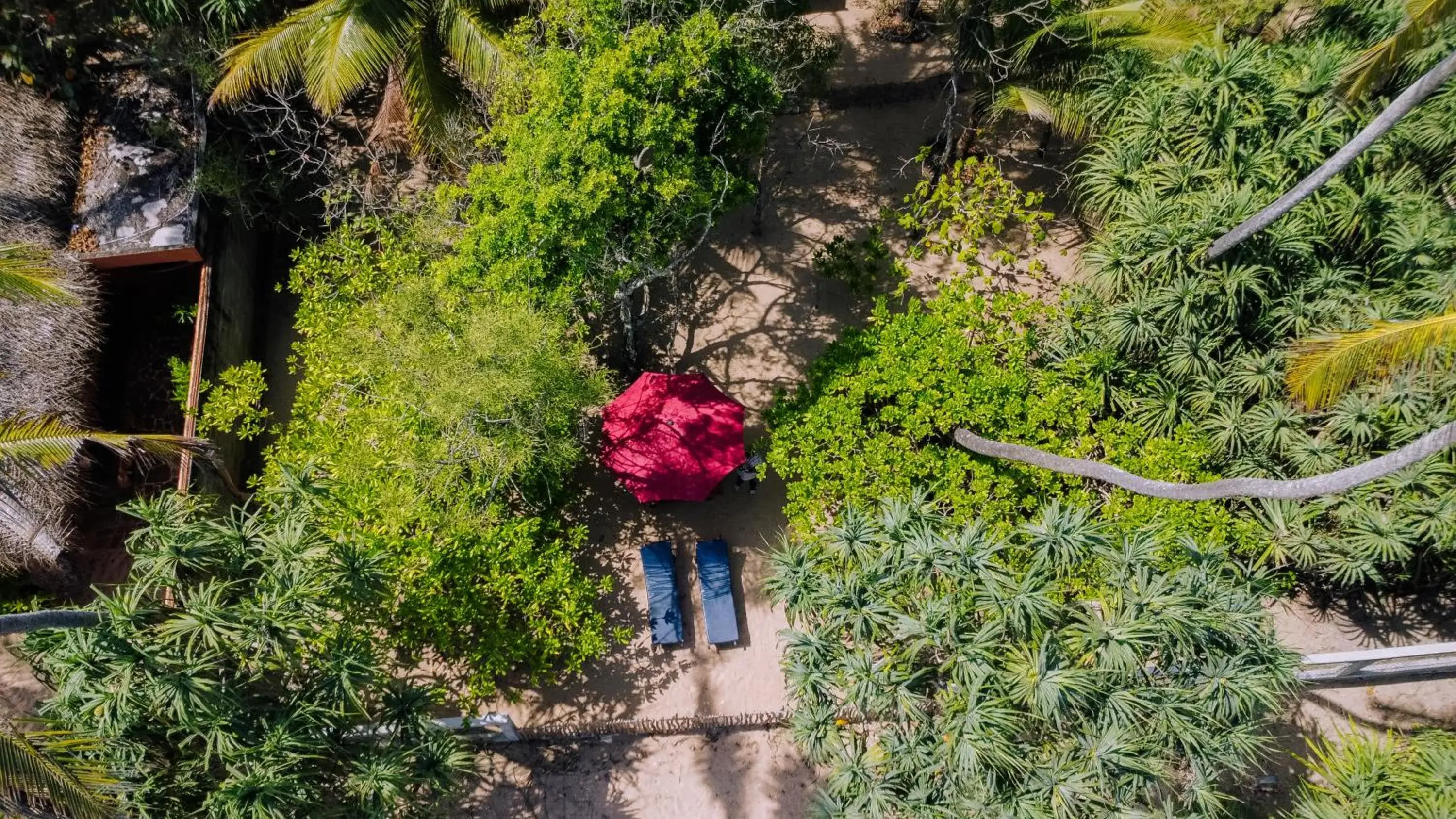Property building in The Waves Beach Chalets Property building in The Waves Beach Chalets