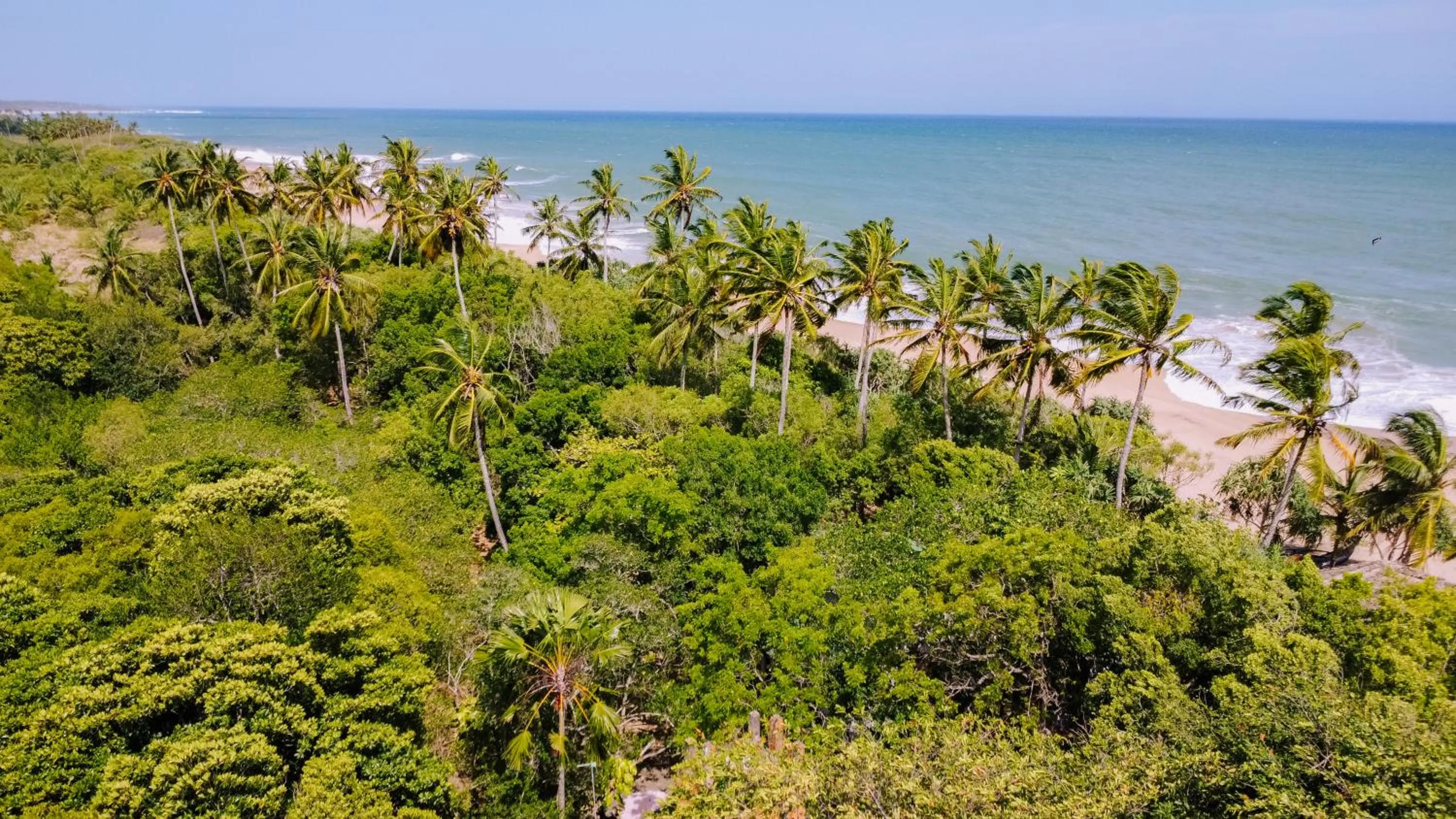 Beach in The Waves Beach Chalets