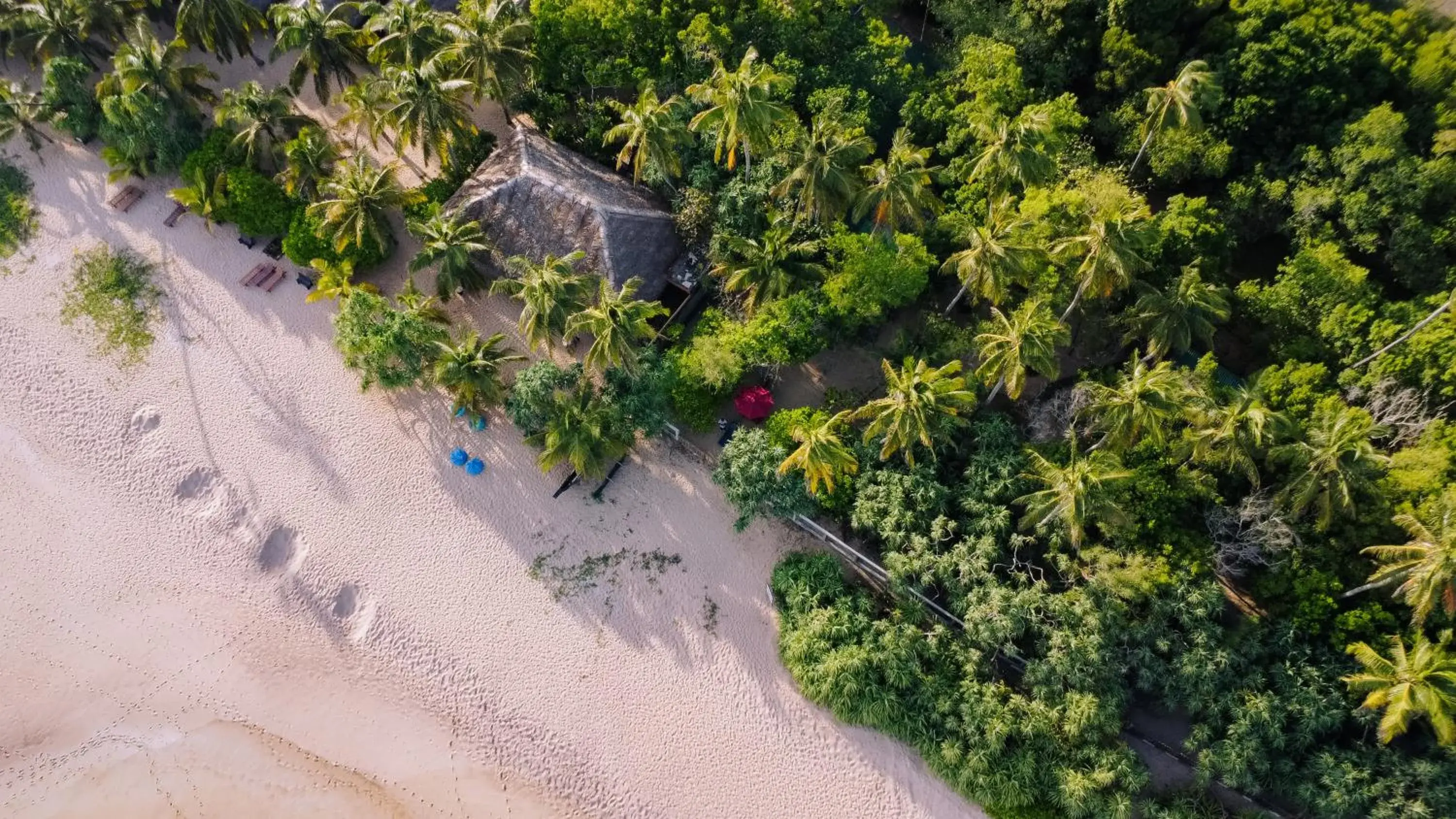 Beach in The Waves Beach Chalets Beach in The Waves Beach Chalets