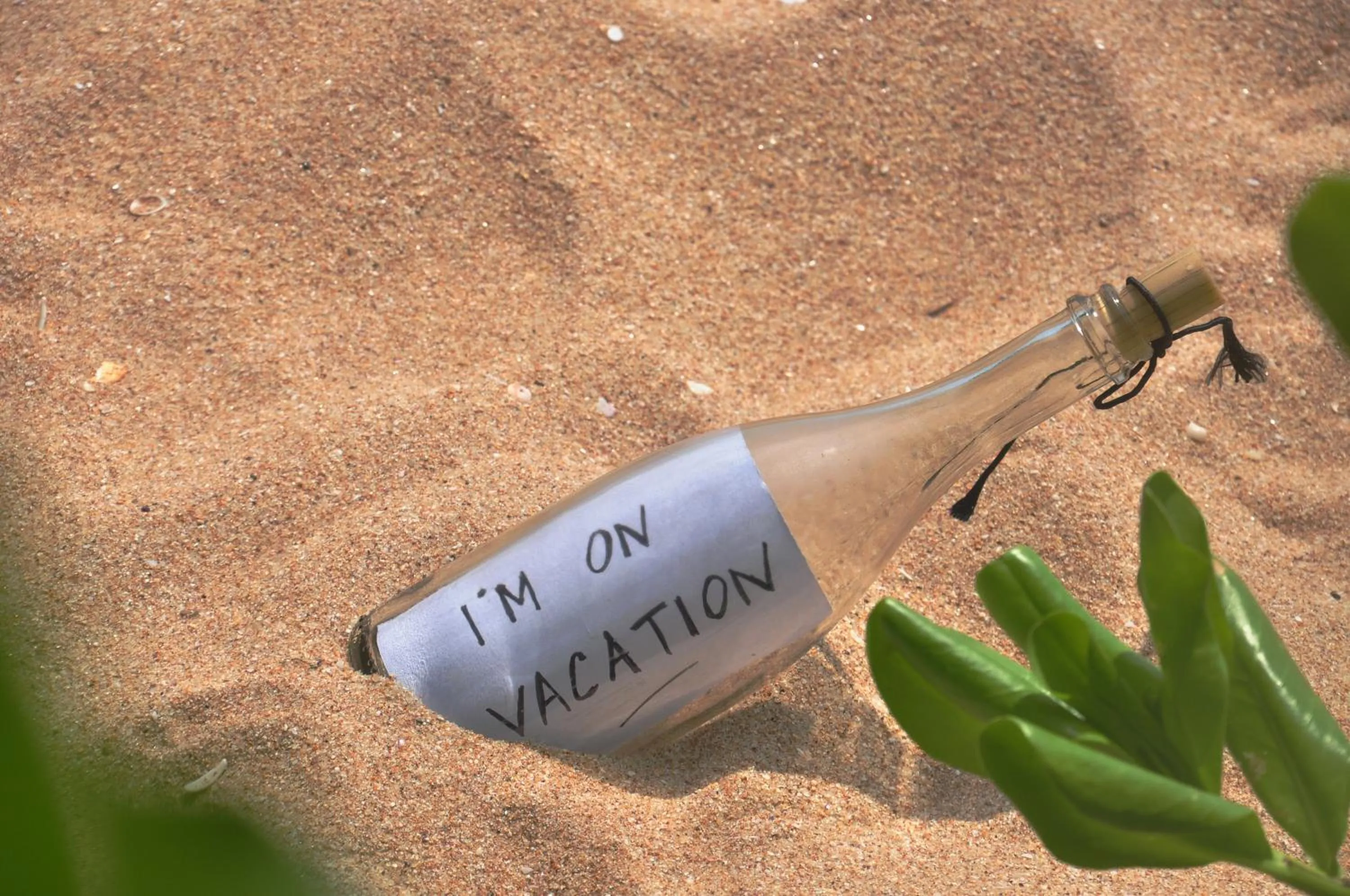 Beach in The Waves Beach Chalets