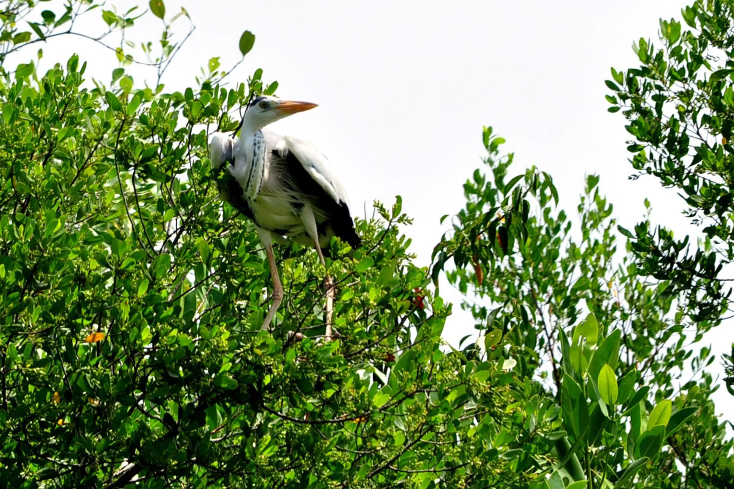 Day in The Waves Beach Chalets