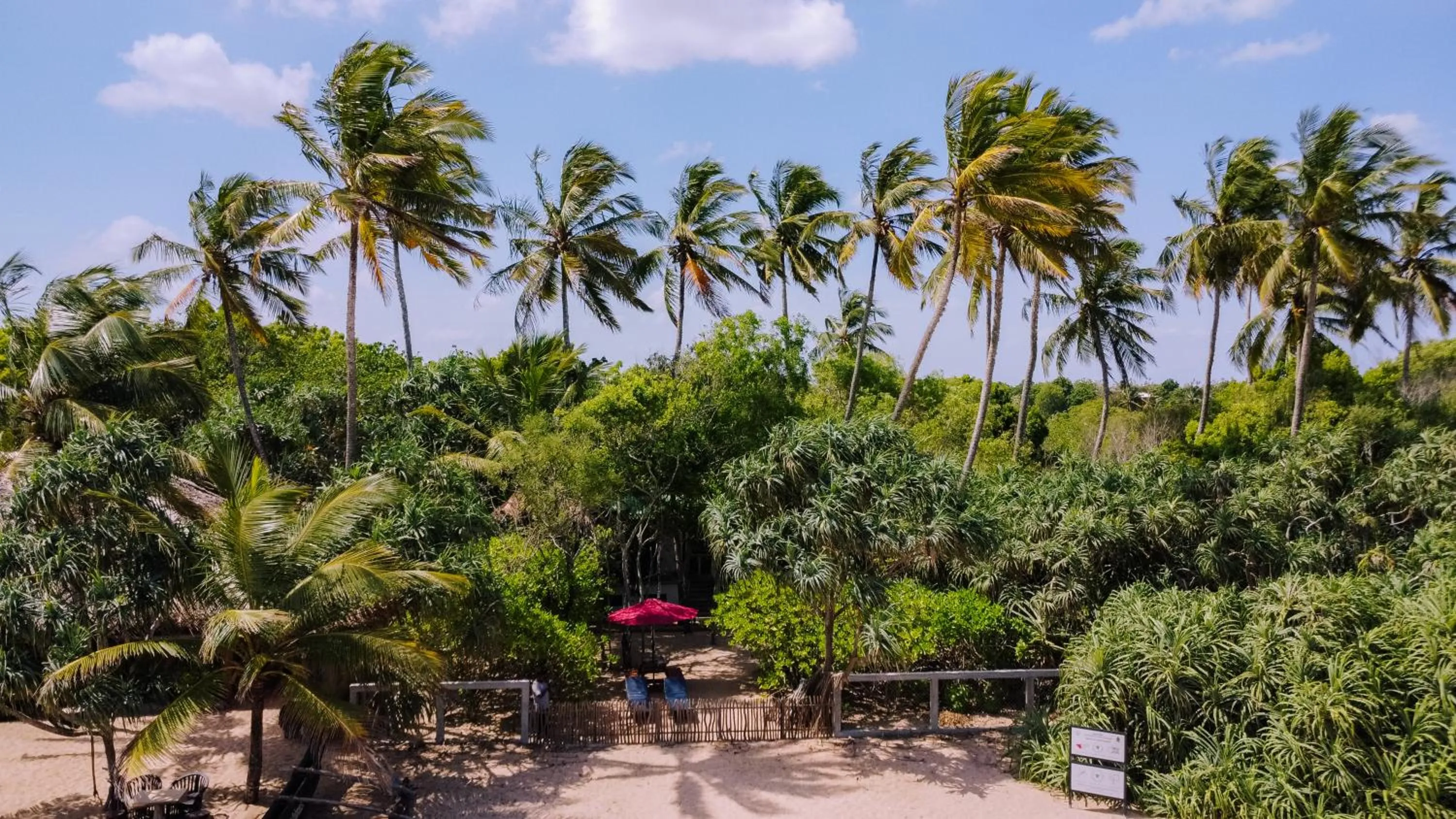 Beach in The Waves Beach Chalets