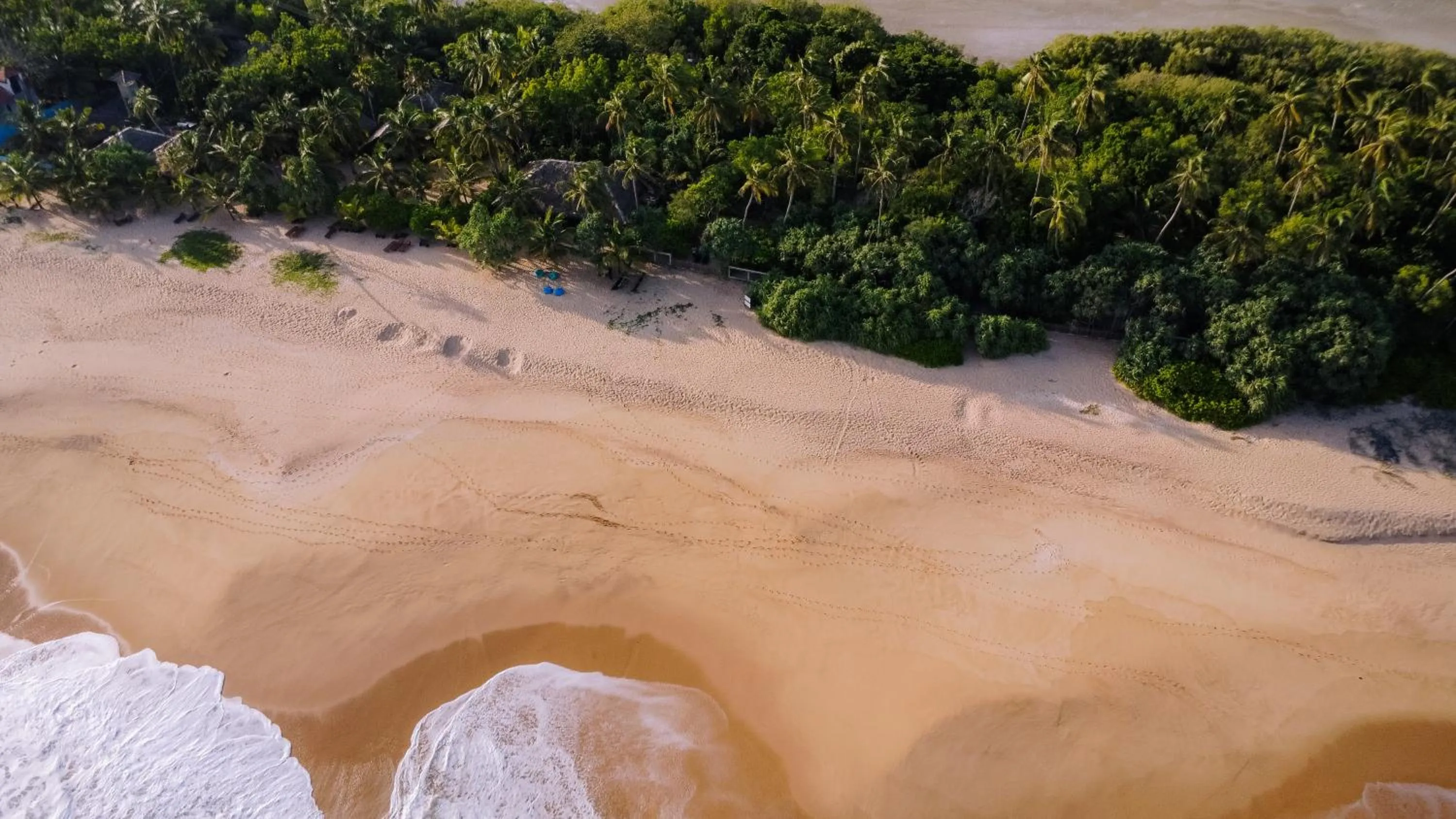 Beach in The Waves Beach Chalets