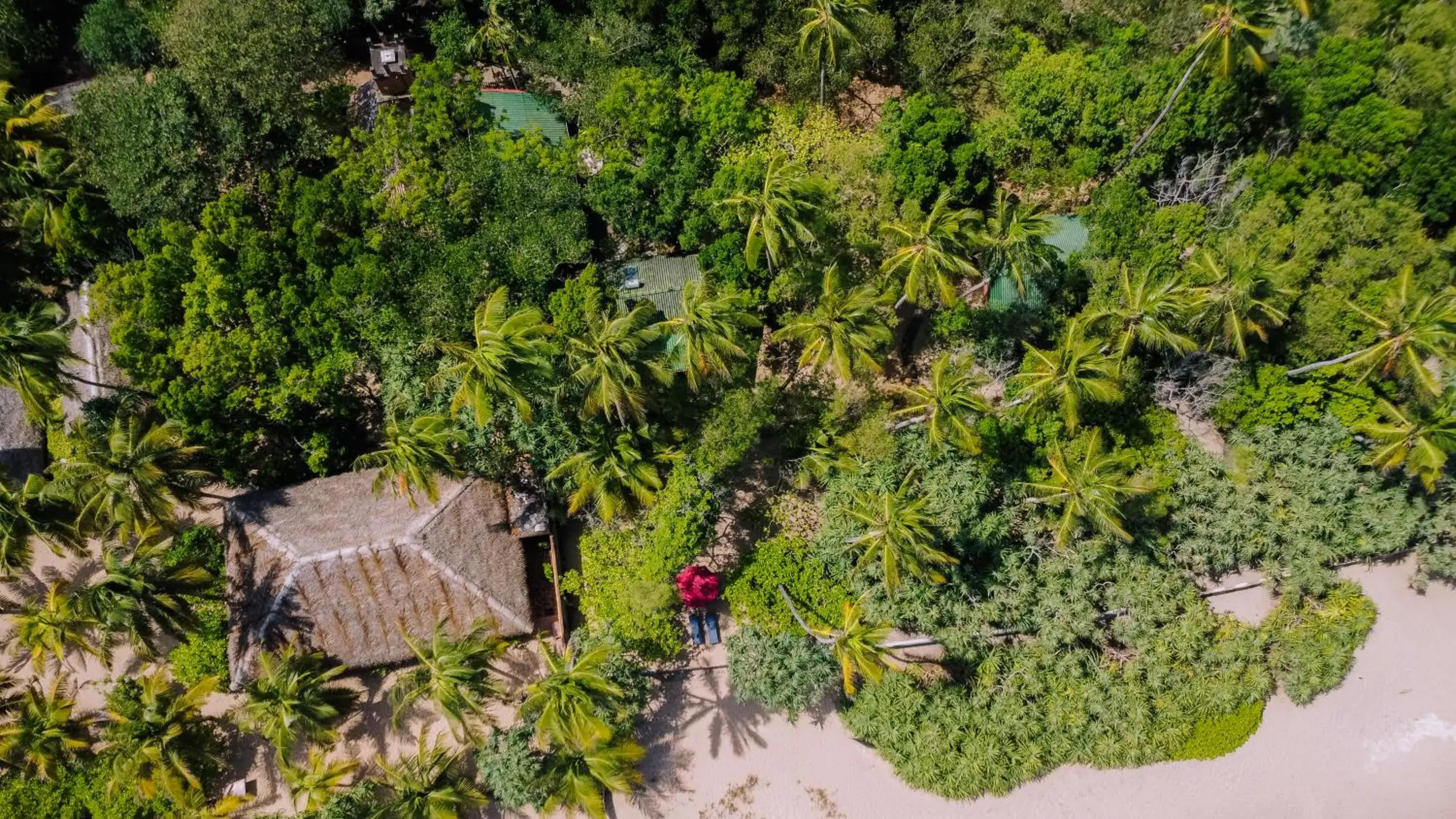 Property building in The Waves Beach Chalets Property building in The Waves Beach Chalets