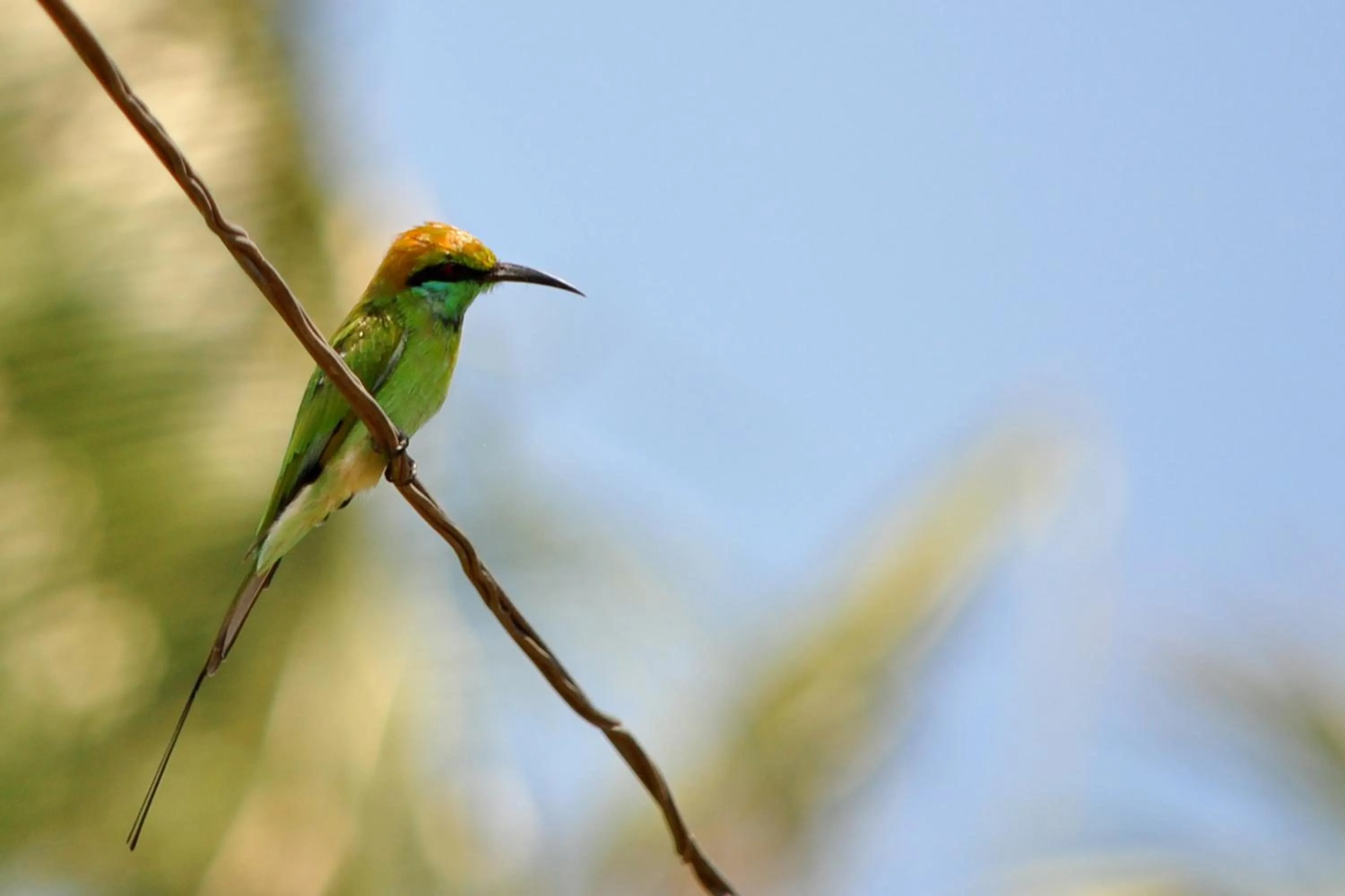 Neighbourhood in The Waves Beach Chalets