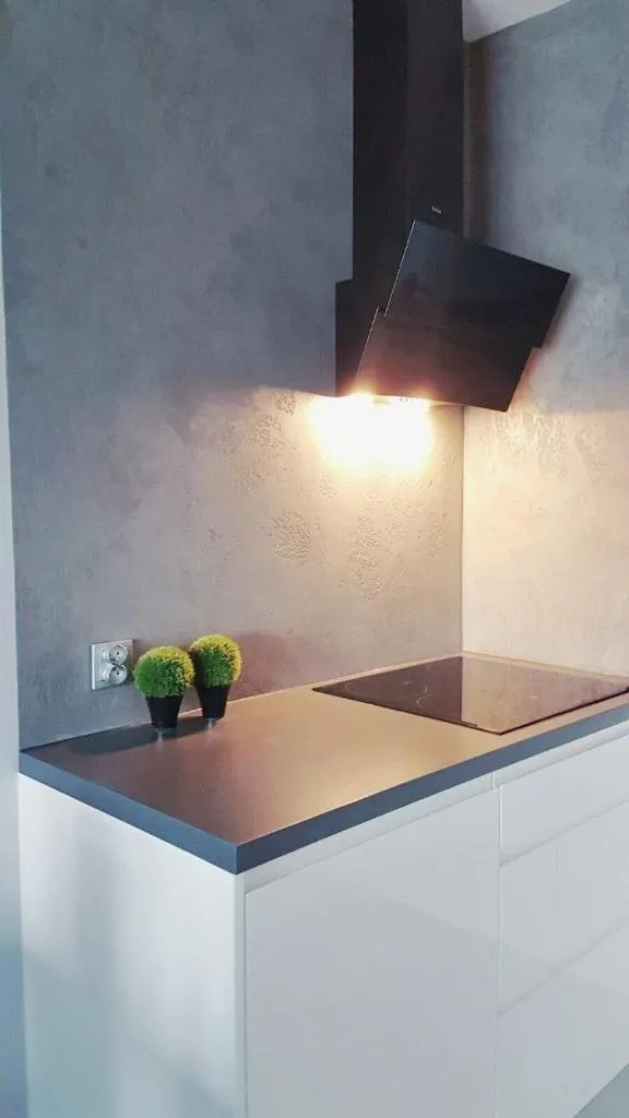 Kitchen or kitchenette in Bulwar Portowy, Sun & Snow