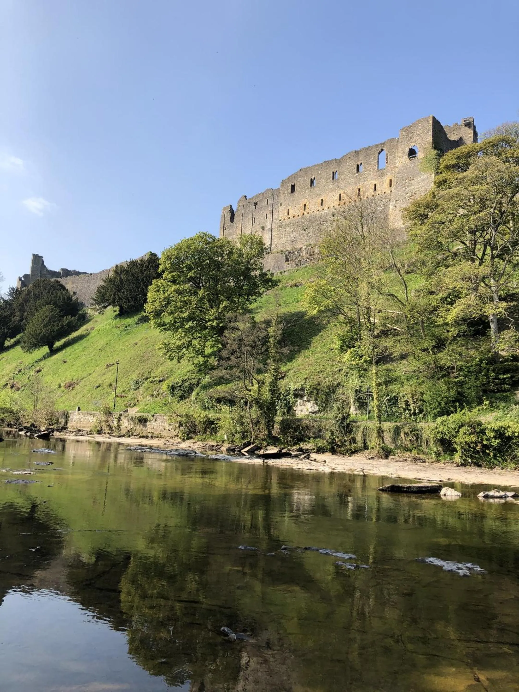 Activities in The unicorn