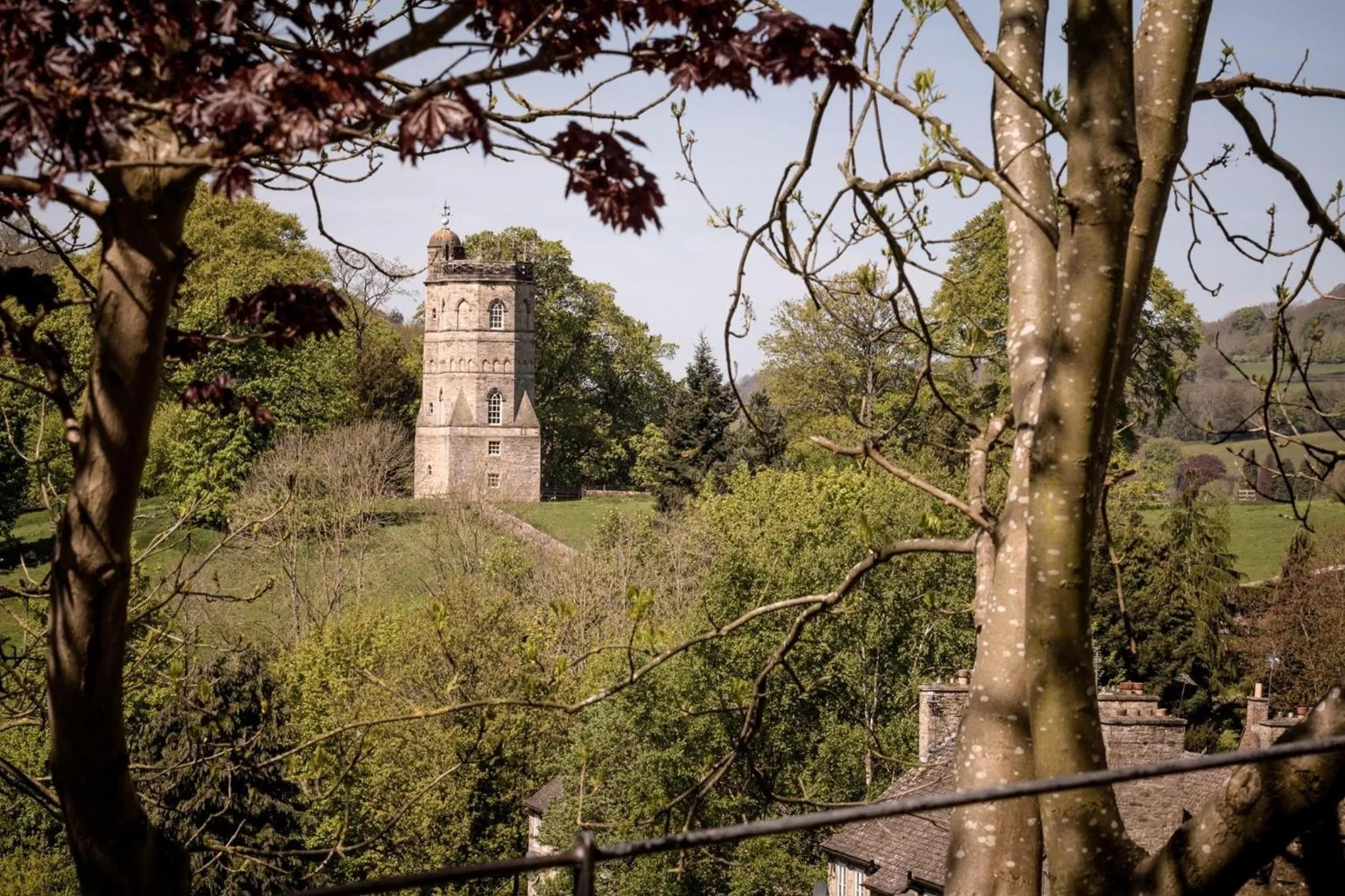 Activities in The unicorn