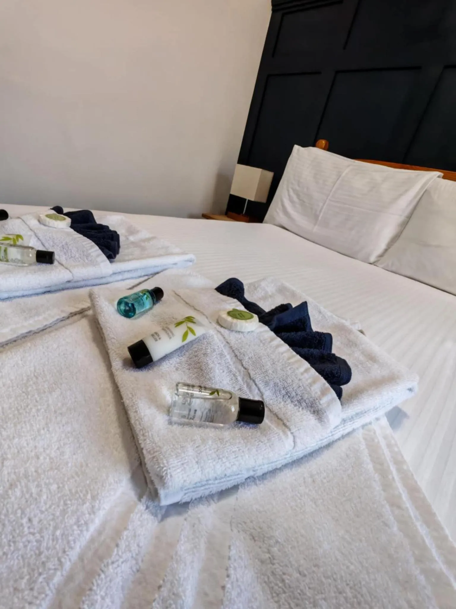 Double Room in The Grapes Hotel