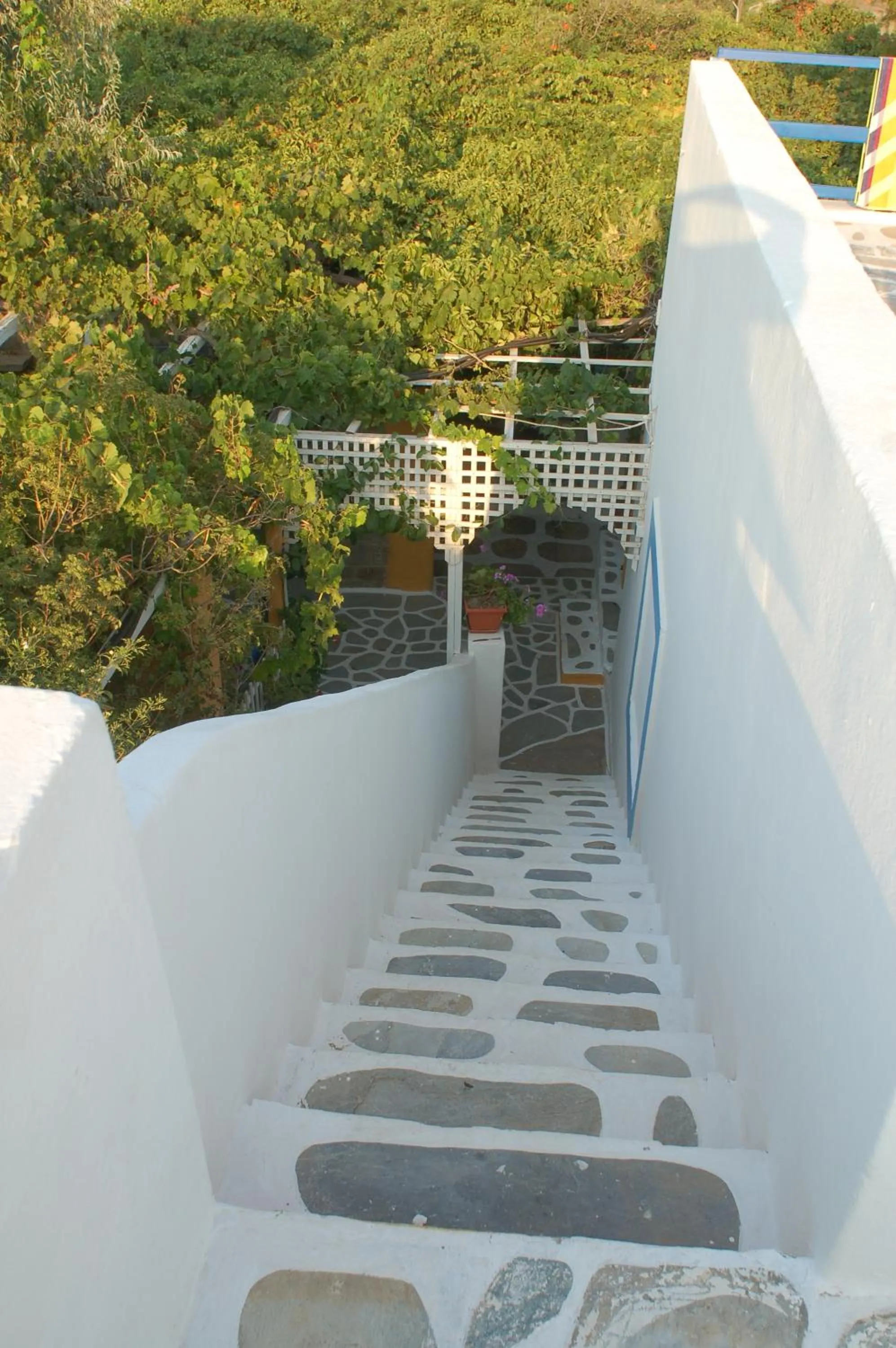 Area and facilities in Miltiadis Apartments