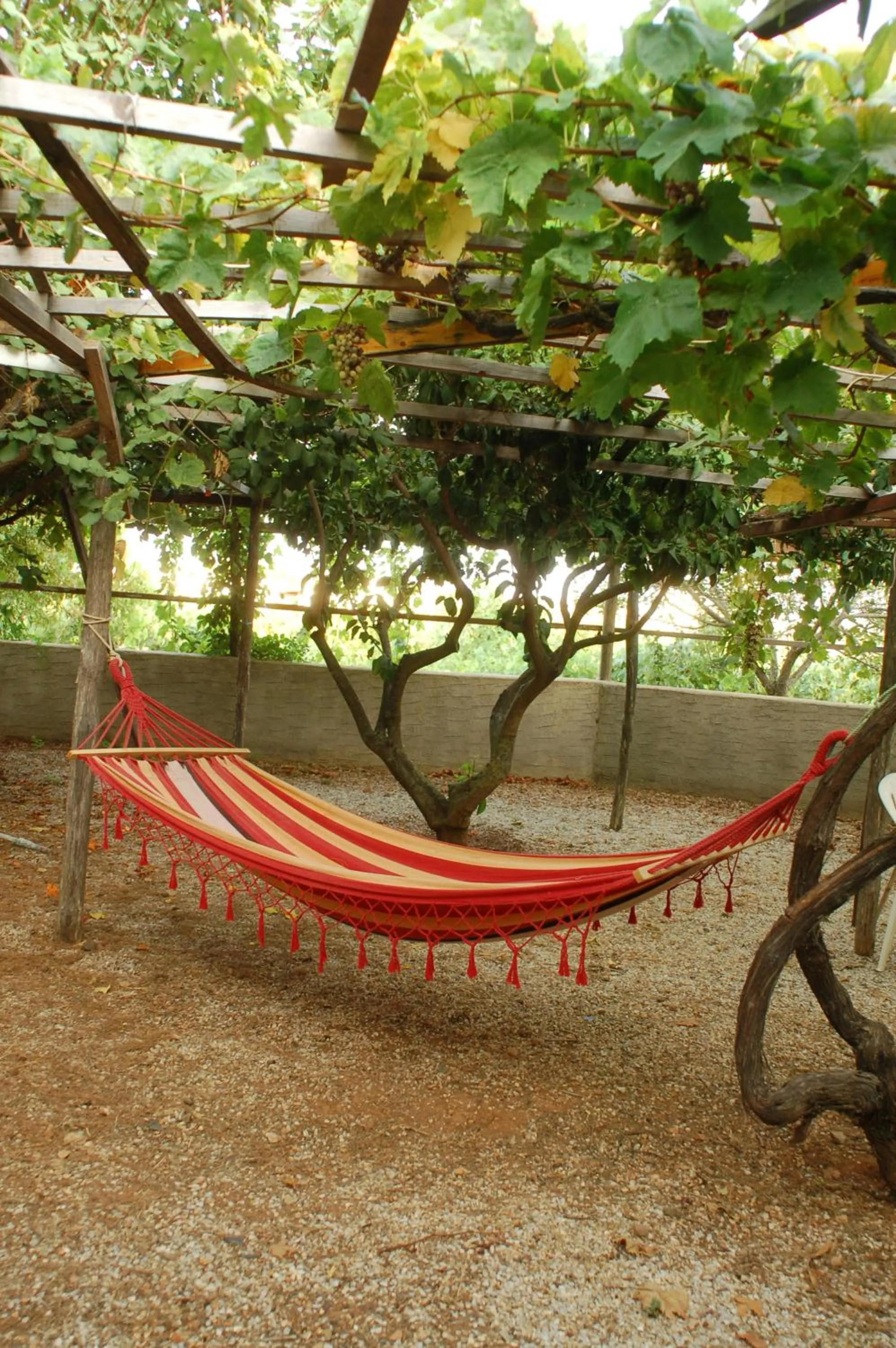 Garden in Miltiadis Apartments