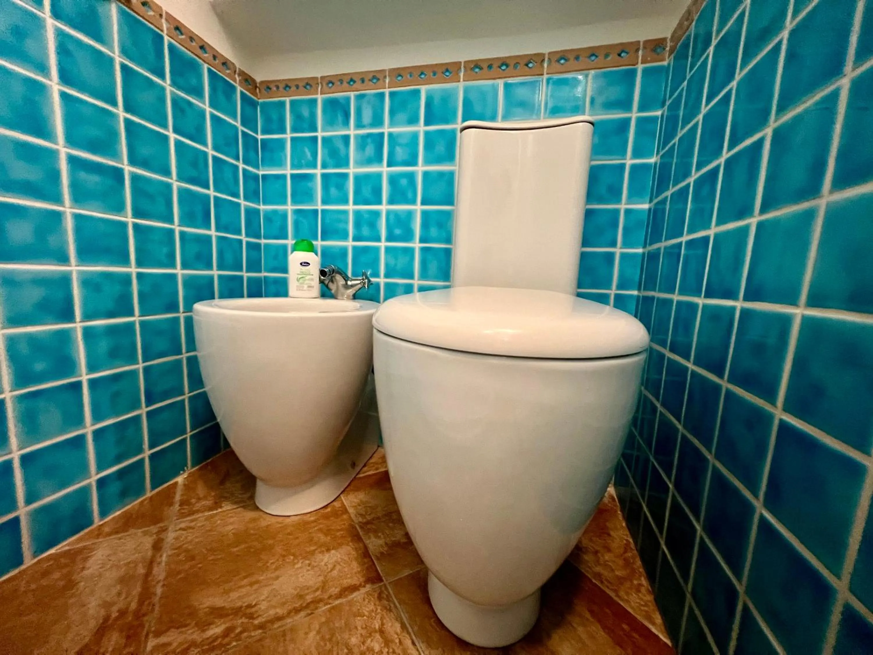 Toilet in ErMar sweet home Alghero