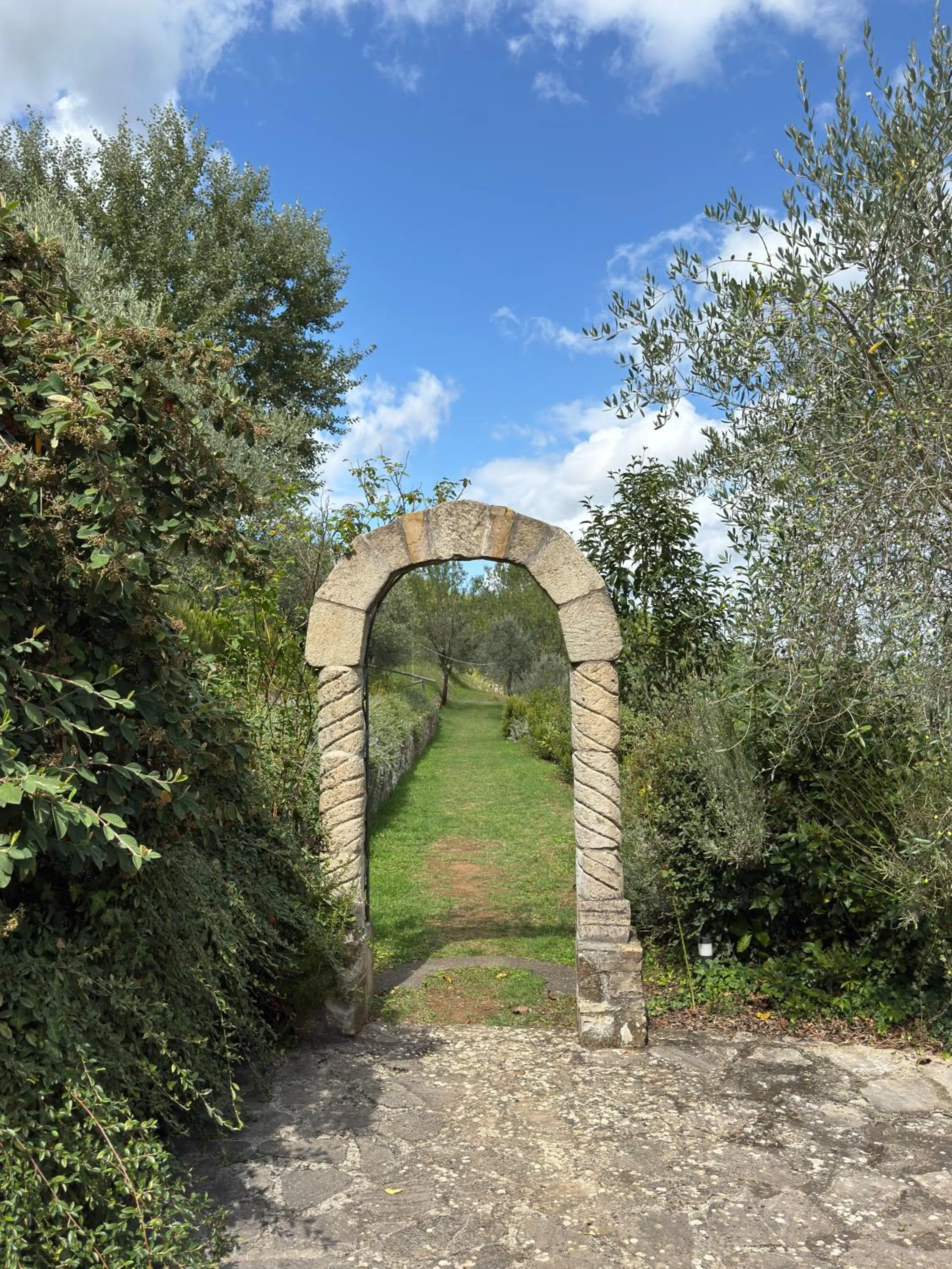 On site in Terre di Baccio