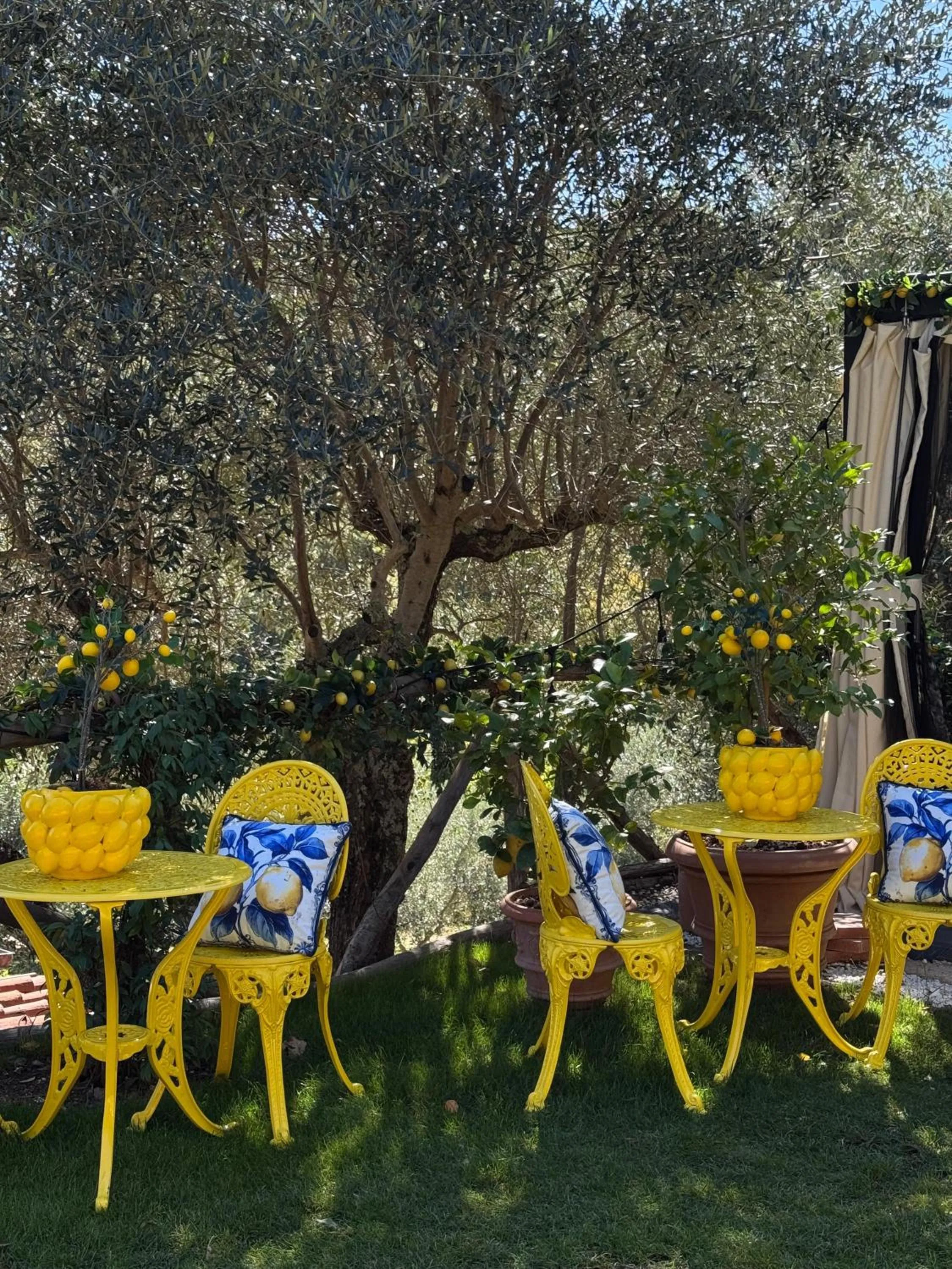 Lounge or bar in Terre di Baccio