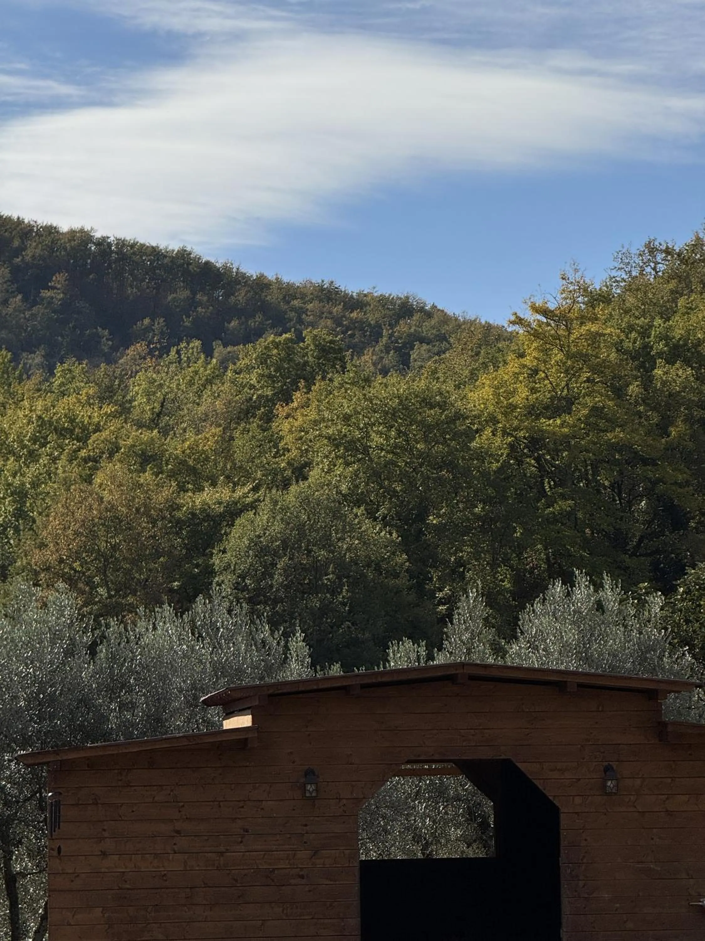 Animals in Terre di Baccio