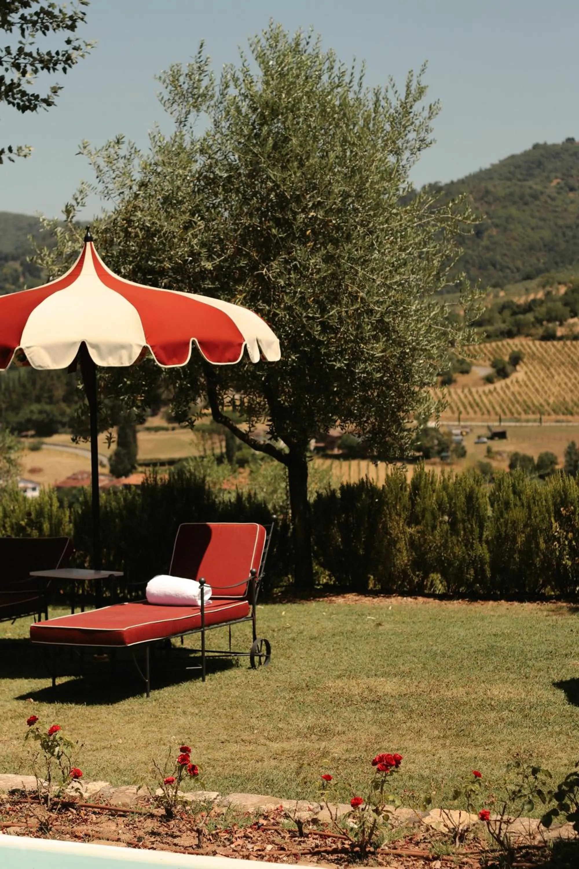 Swimming pool in Terre di Baccio