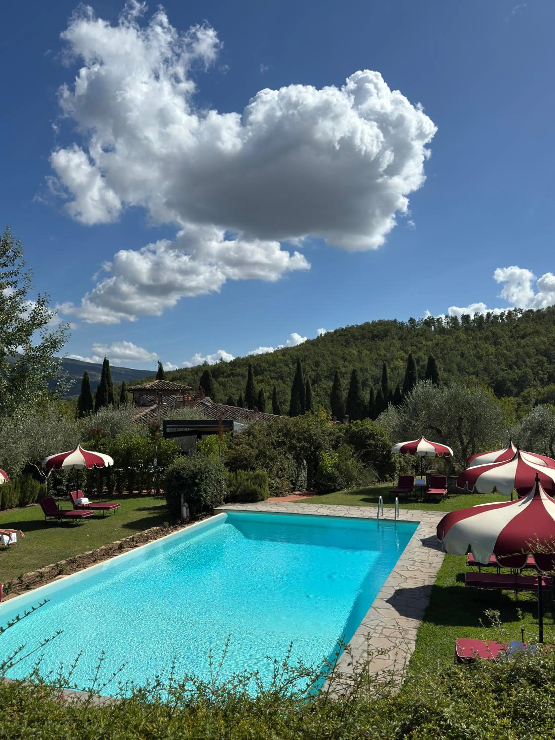 Pool view in Terre di Baccio
