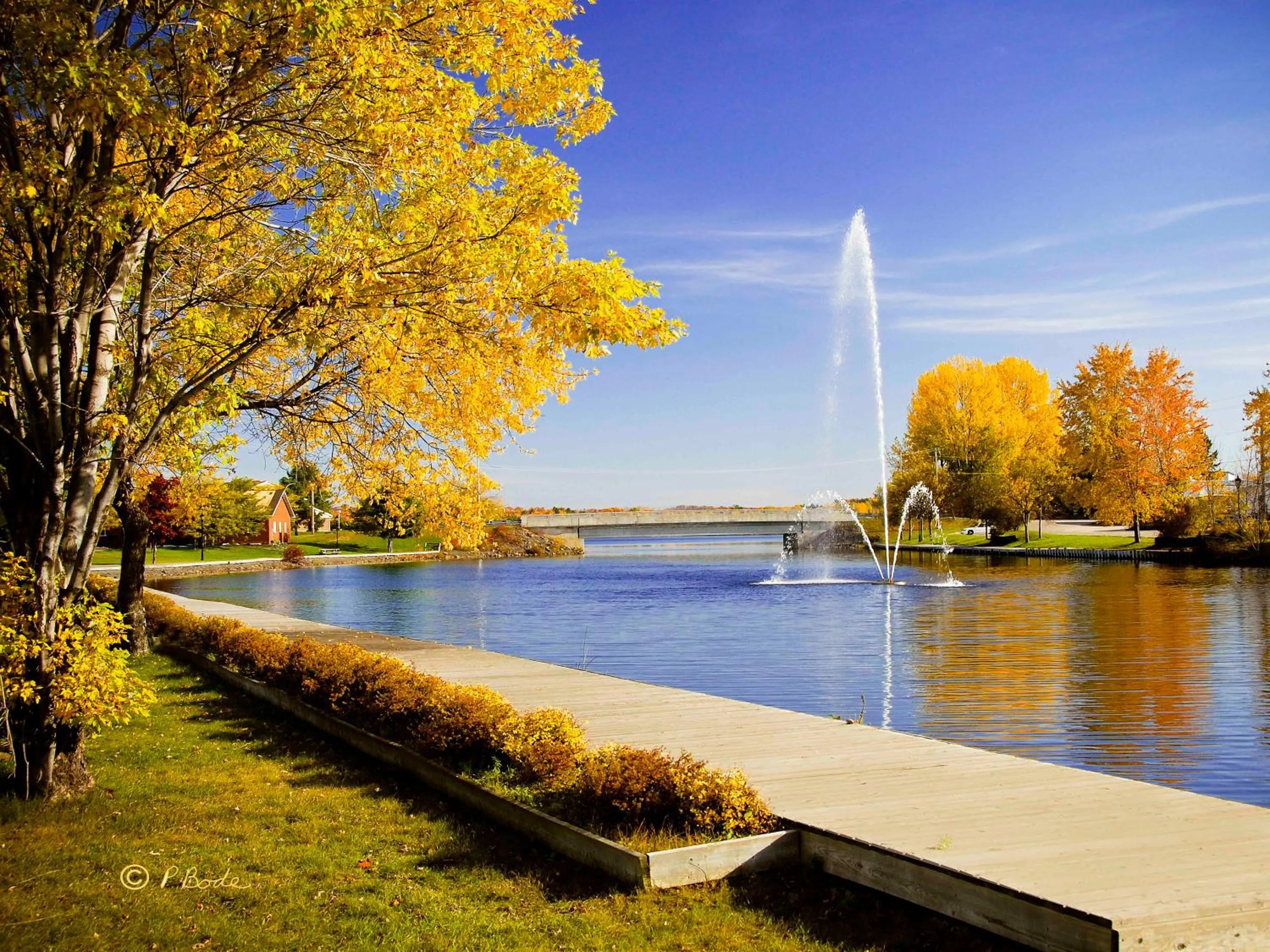 Area and facilities in Lakeview Inn