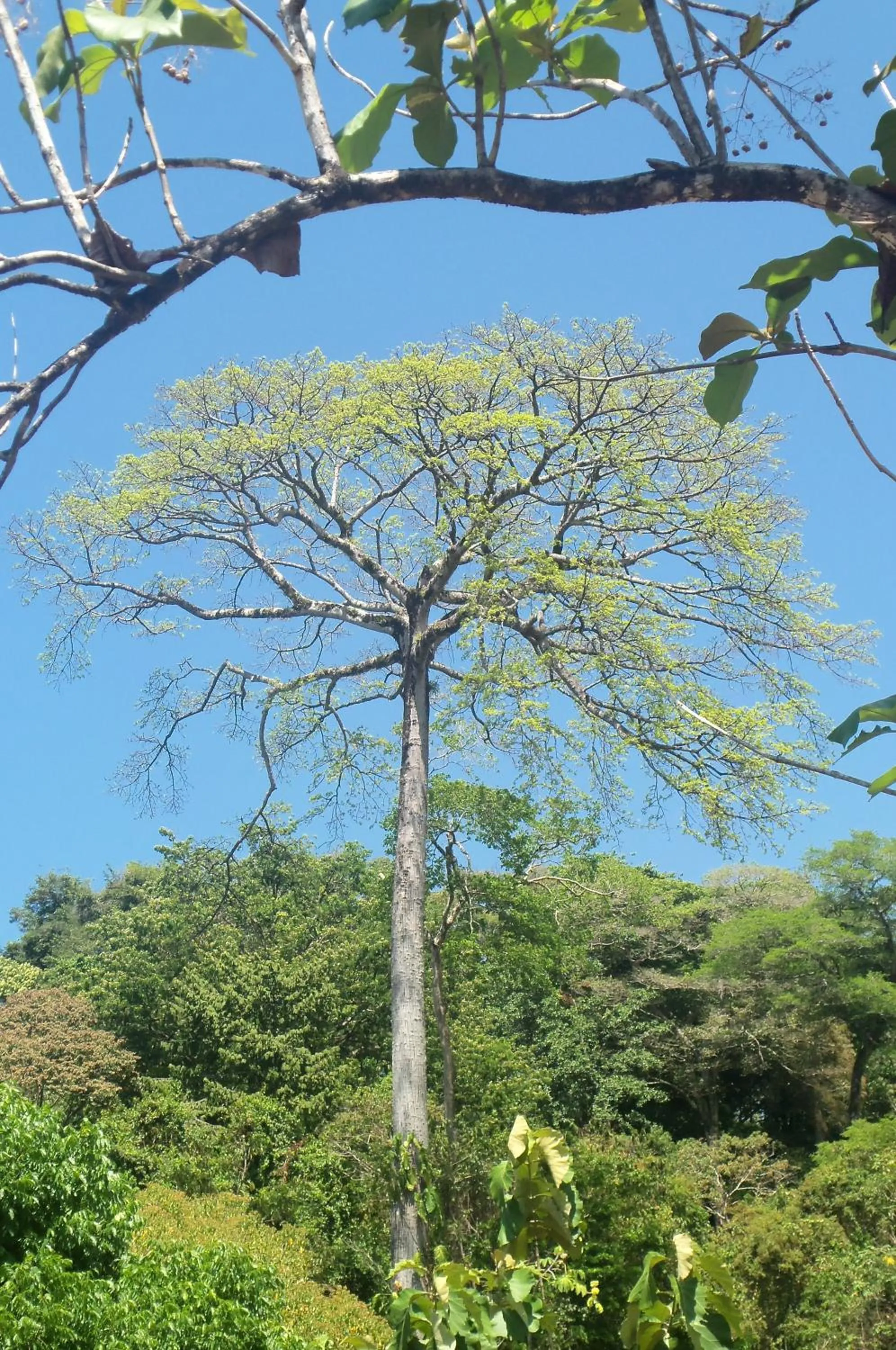 Day in Eden Tica Lodge