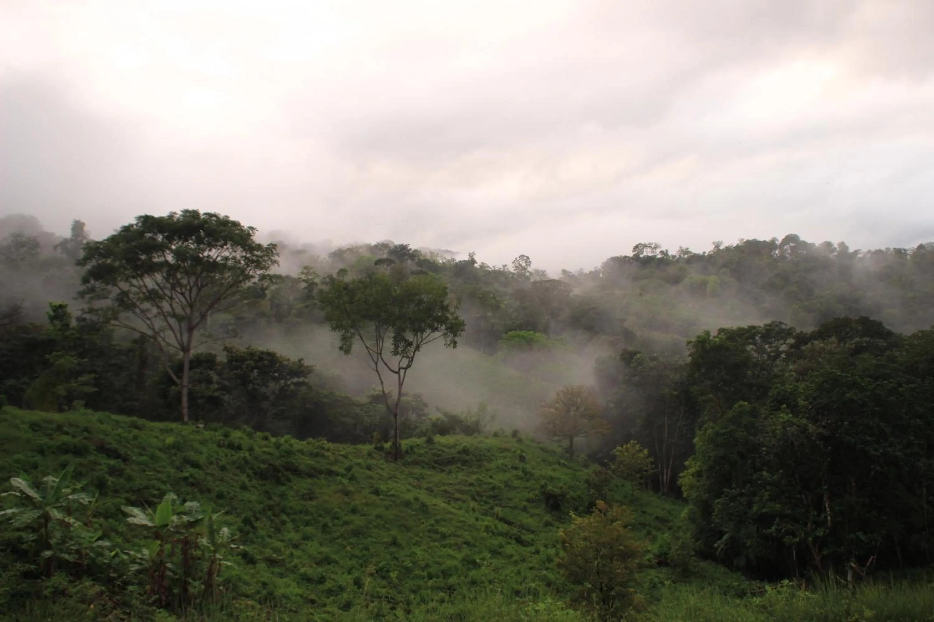 Mountain view in Eden Tica Lodge