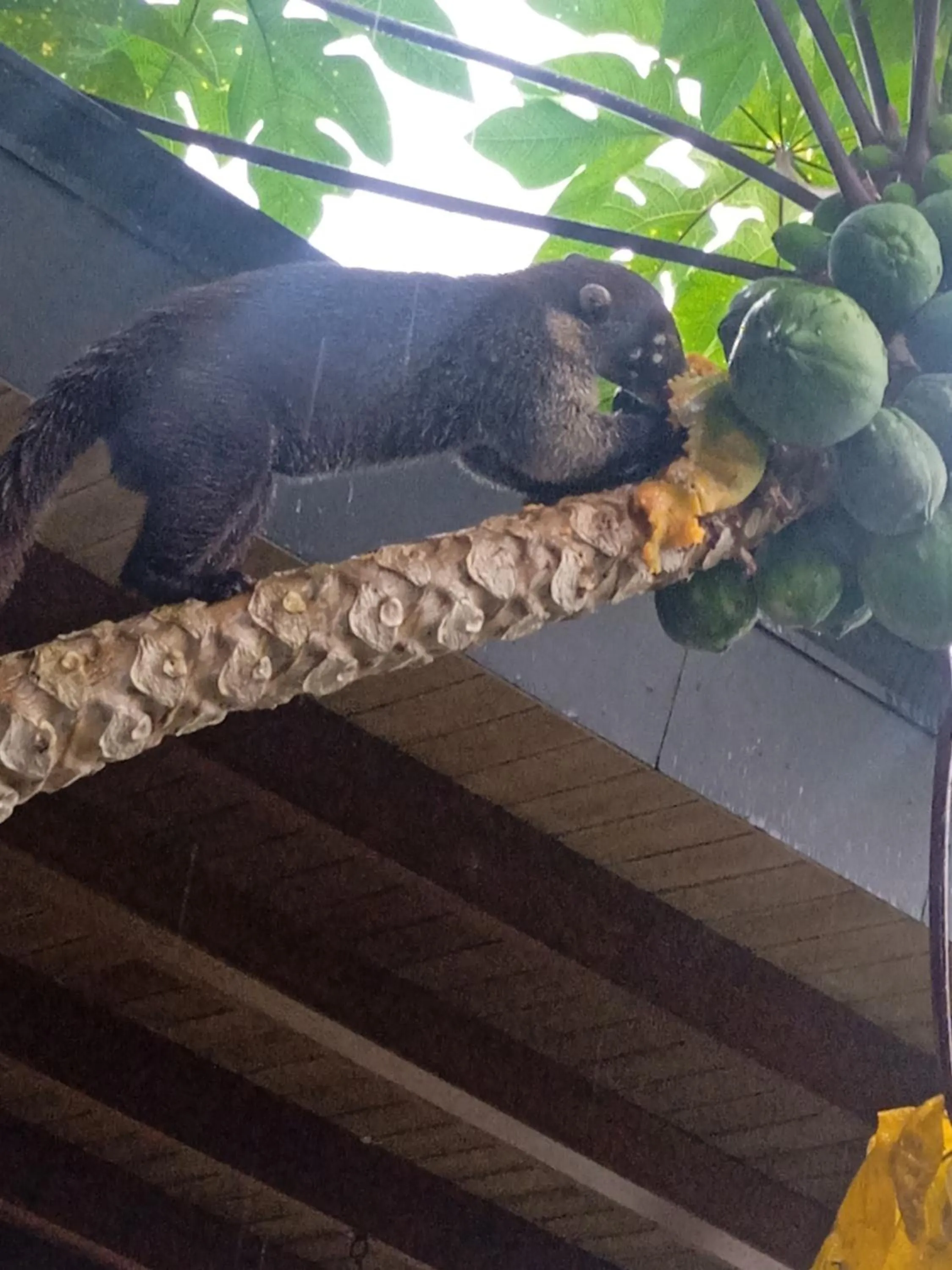 Natural landscape in Eden Tica Lodge