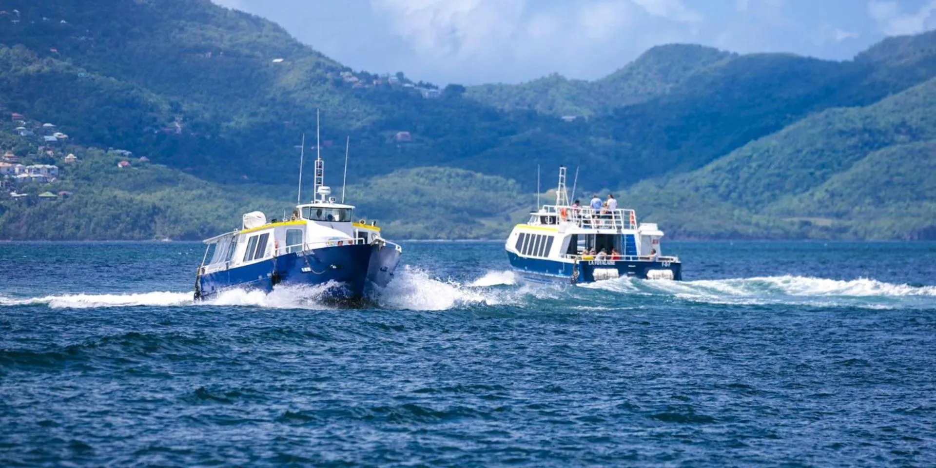 Natural landscape in Le Voilier - Élégant studio avec piscine - vue sur mer et plage à proximité