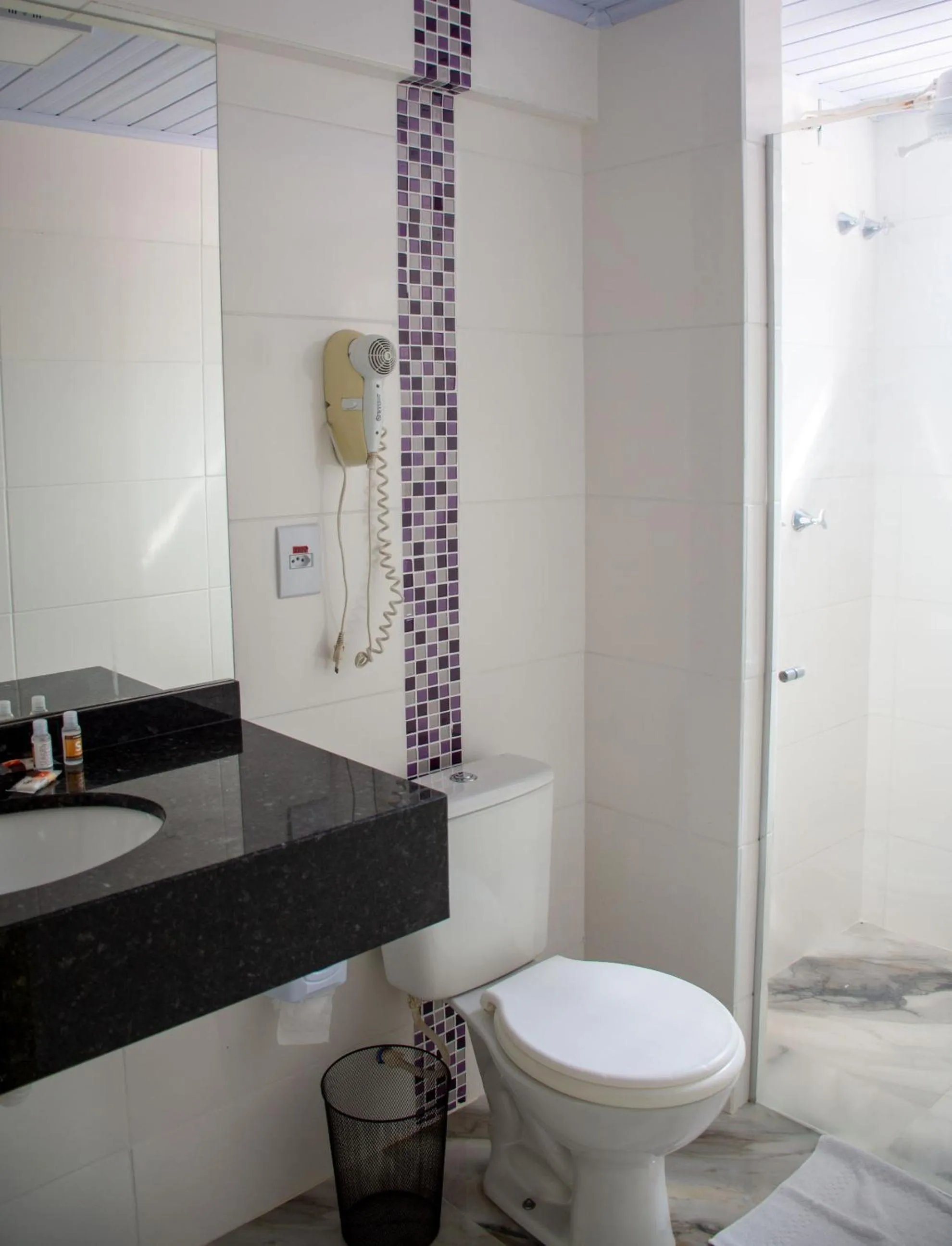 Bathroom in Hotel Senador Distributed by Ameris - Quedas do Iguaçu - Paraná