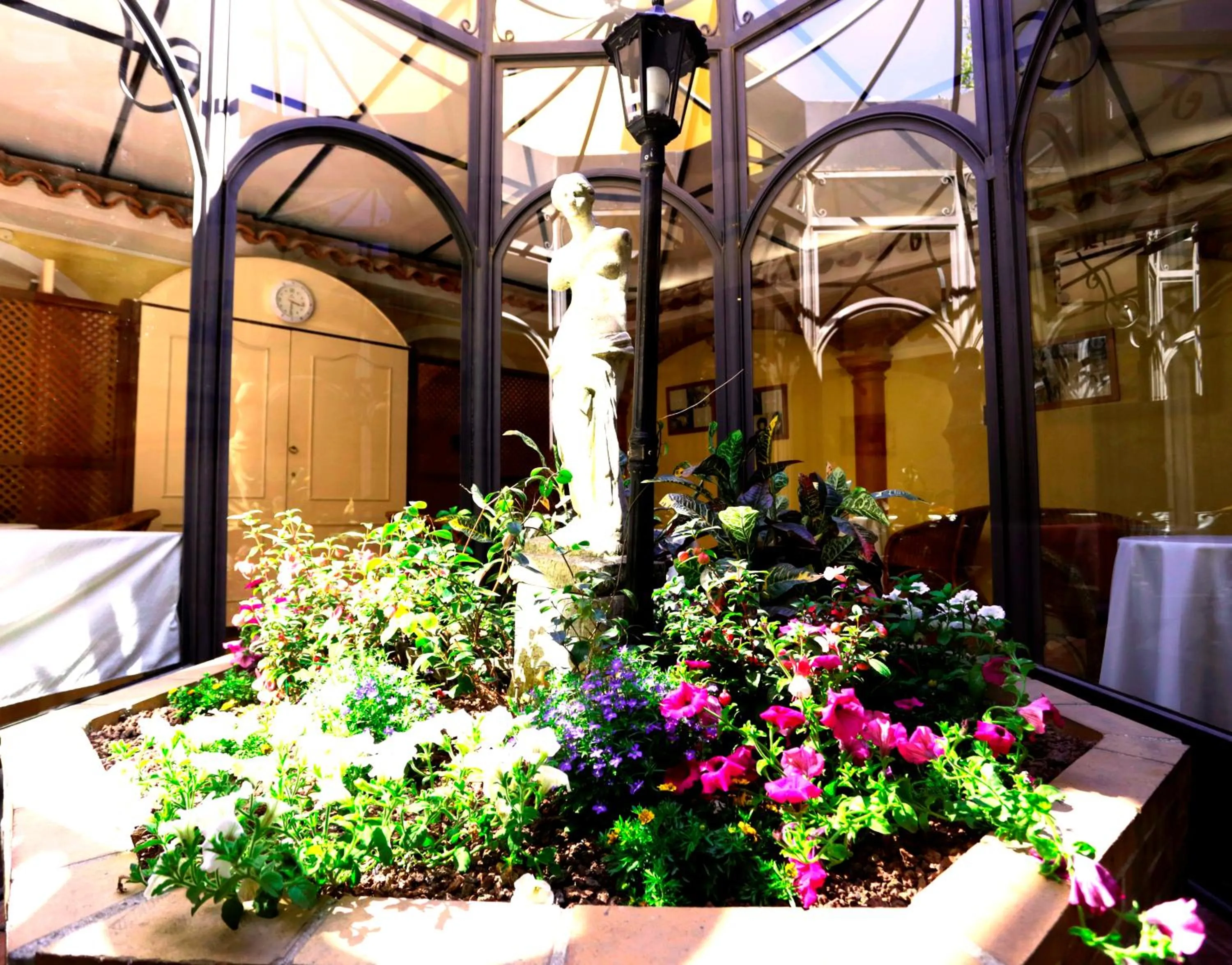 Patio in Hôtel Playa
