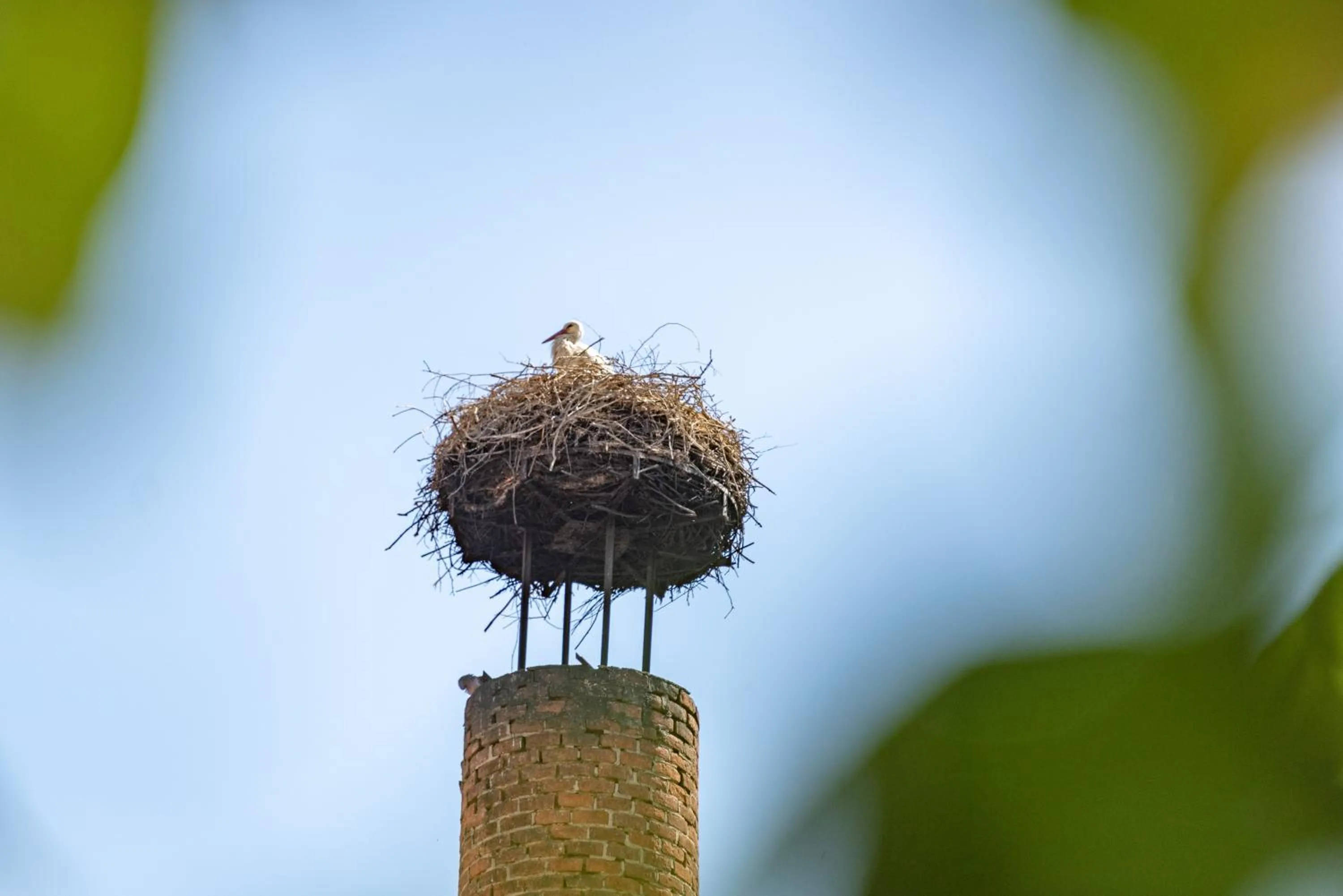 Property building in Hotel Stanglbräu