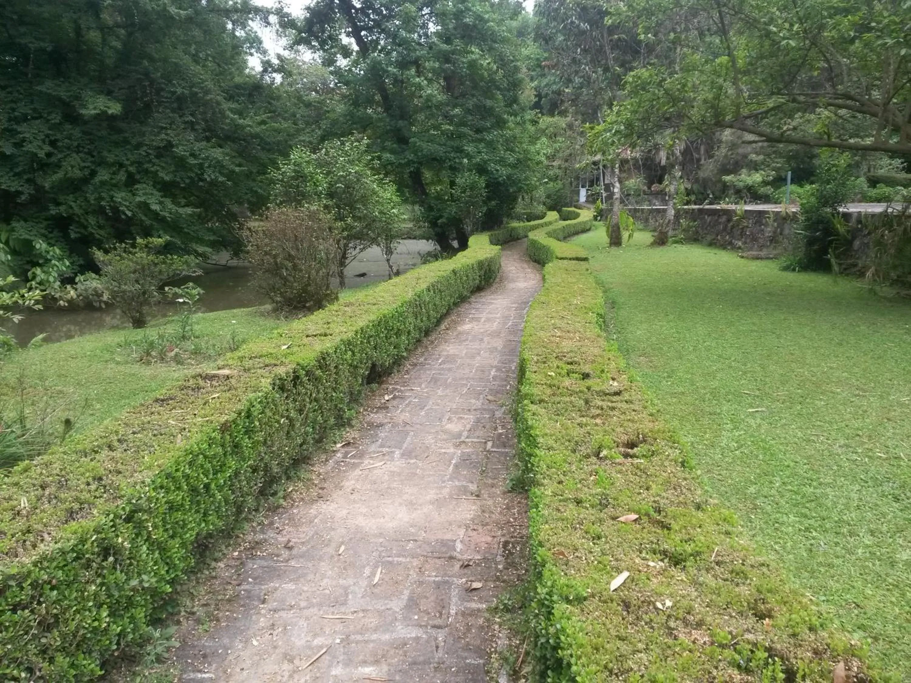Natural landscape in Hotel Mi Ranchito