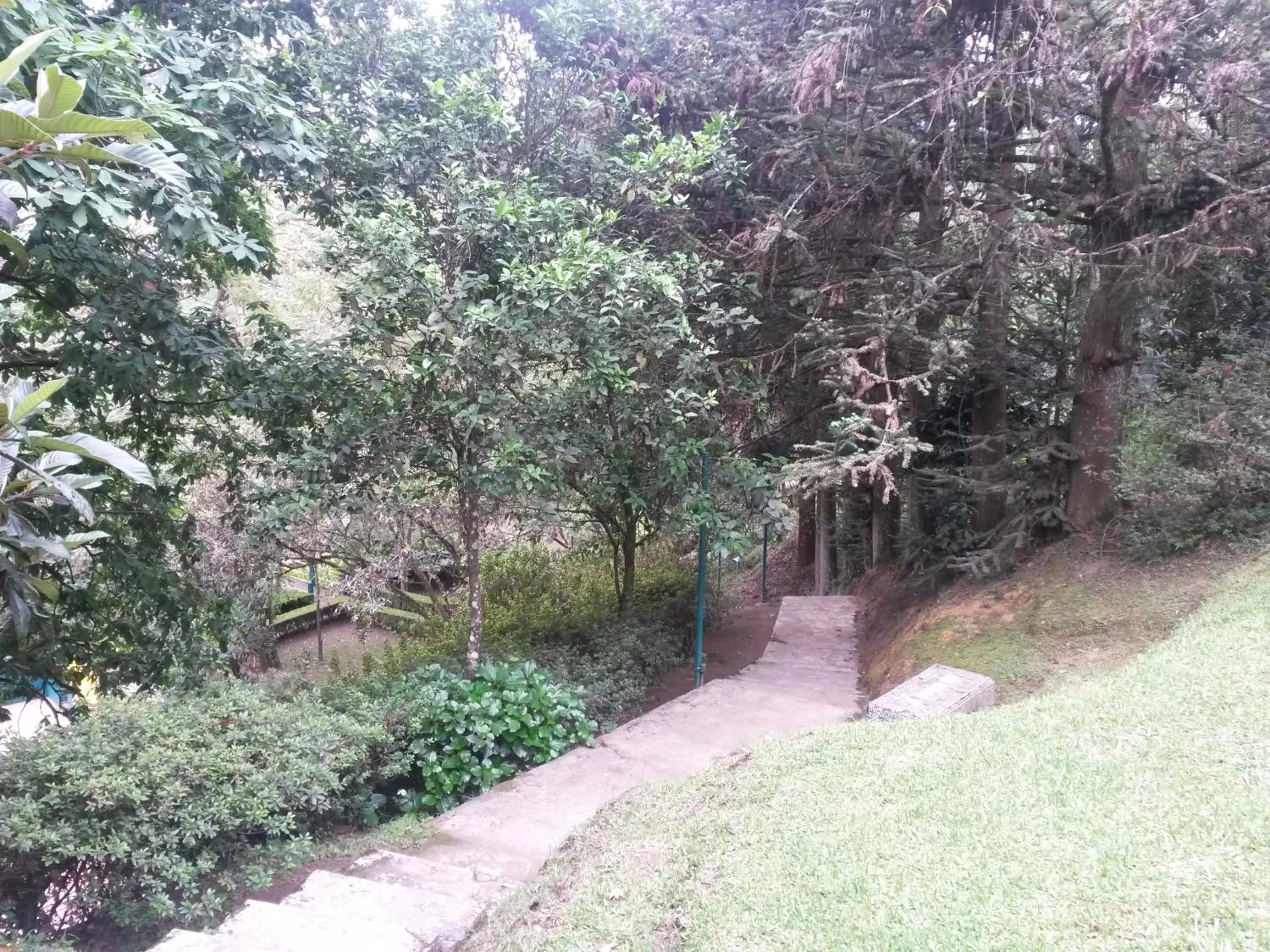 Natural landscape in Hotel Mi Ranchito