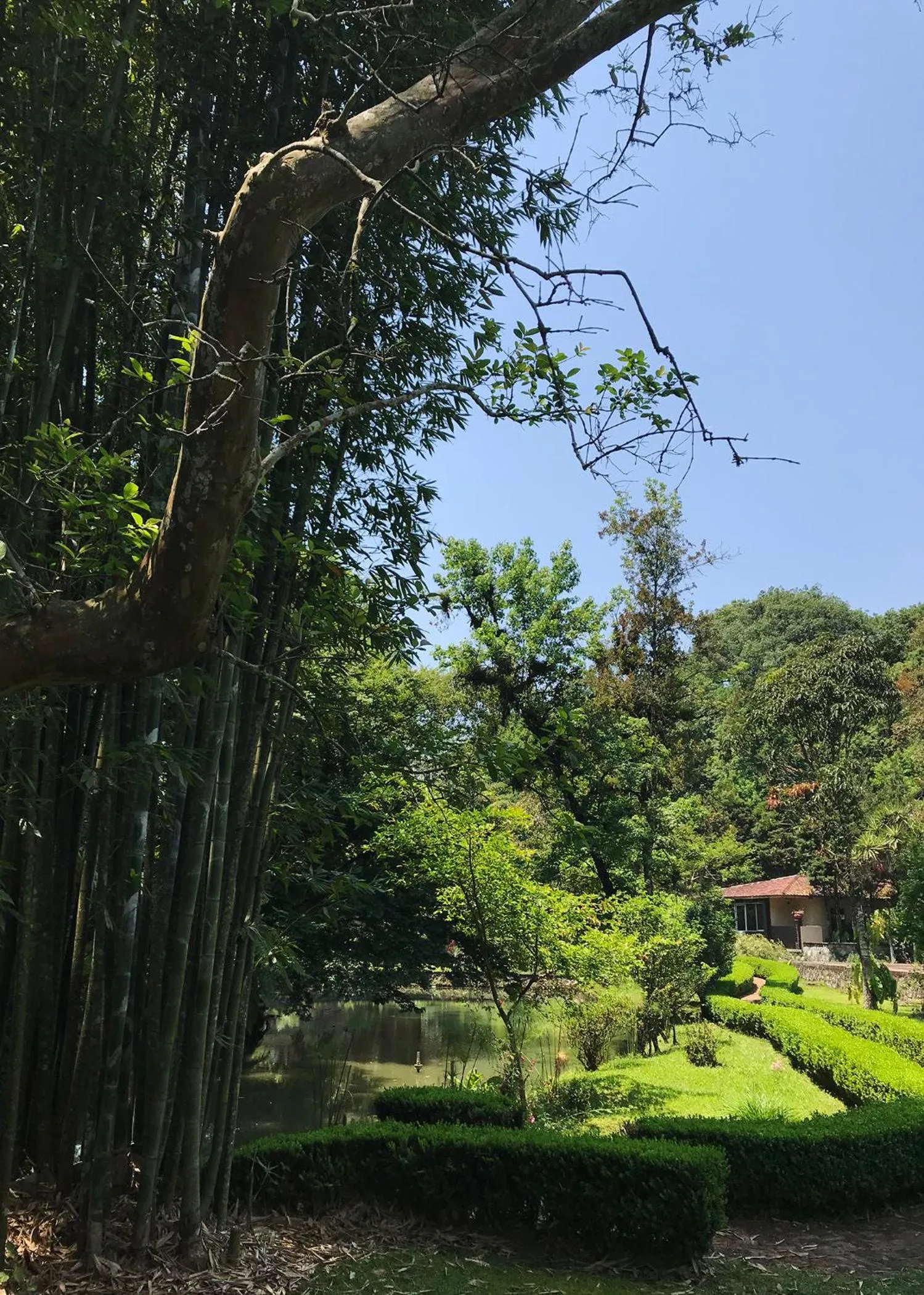 Hotel Mi Ranchito