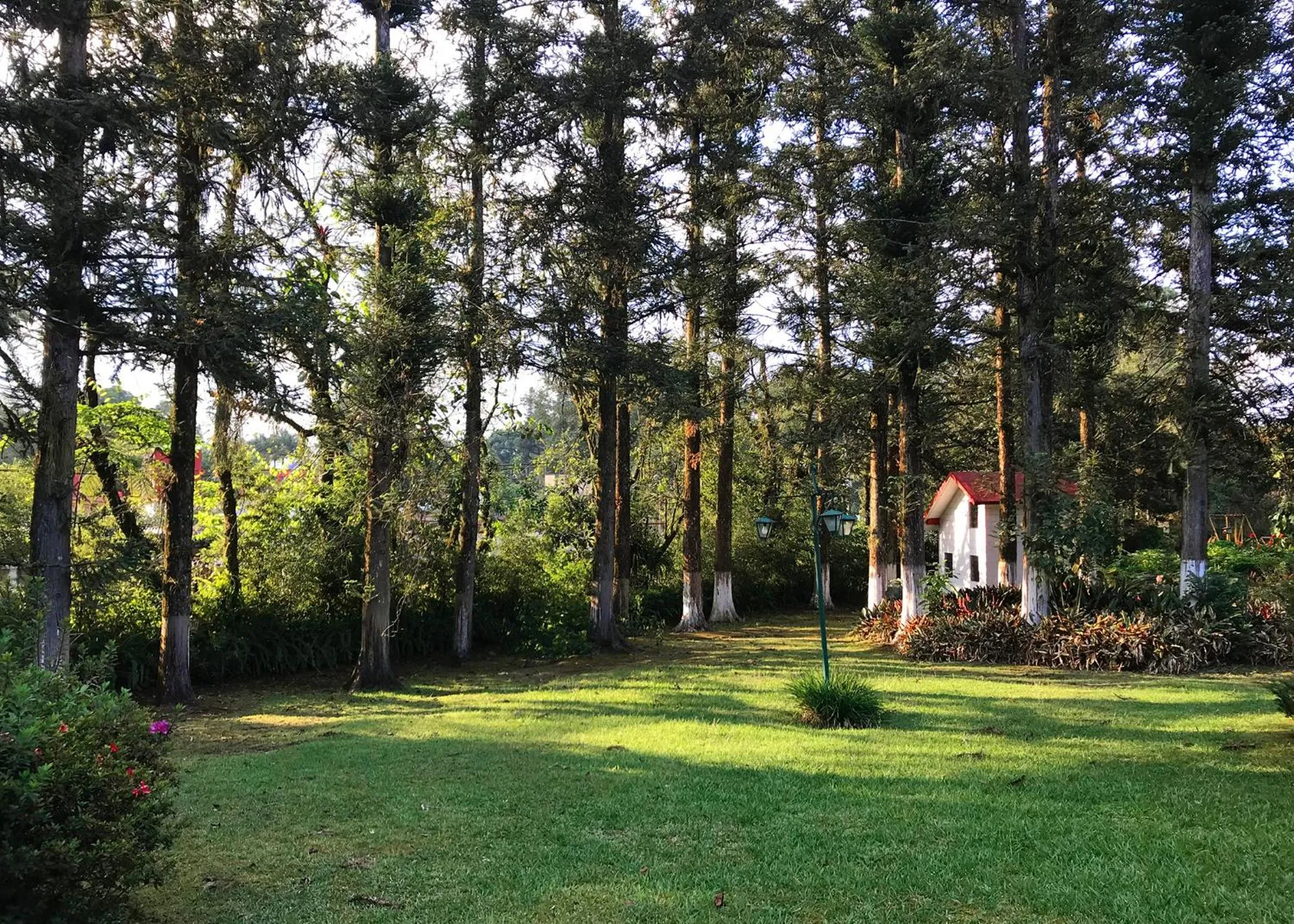 Hotel Mi Ranchito