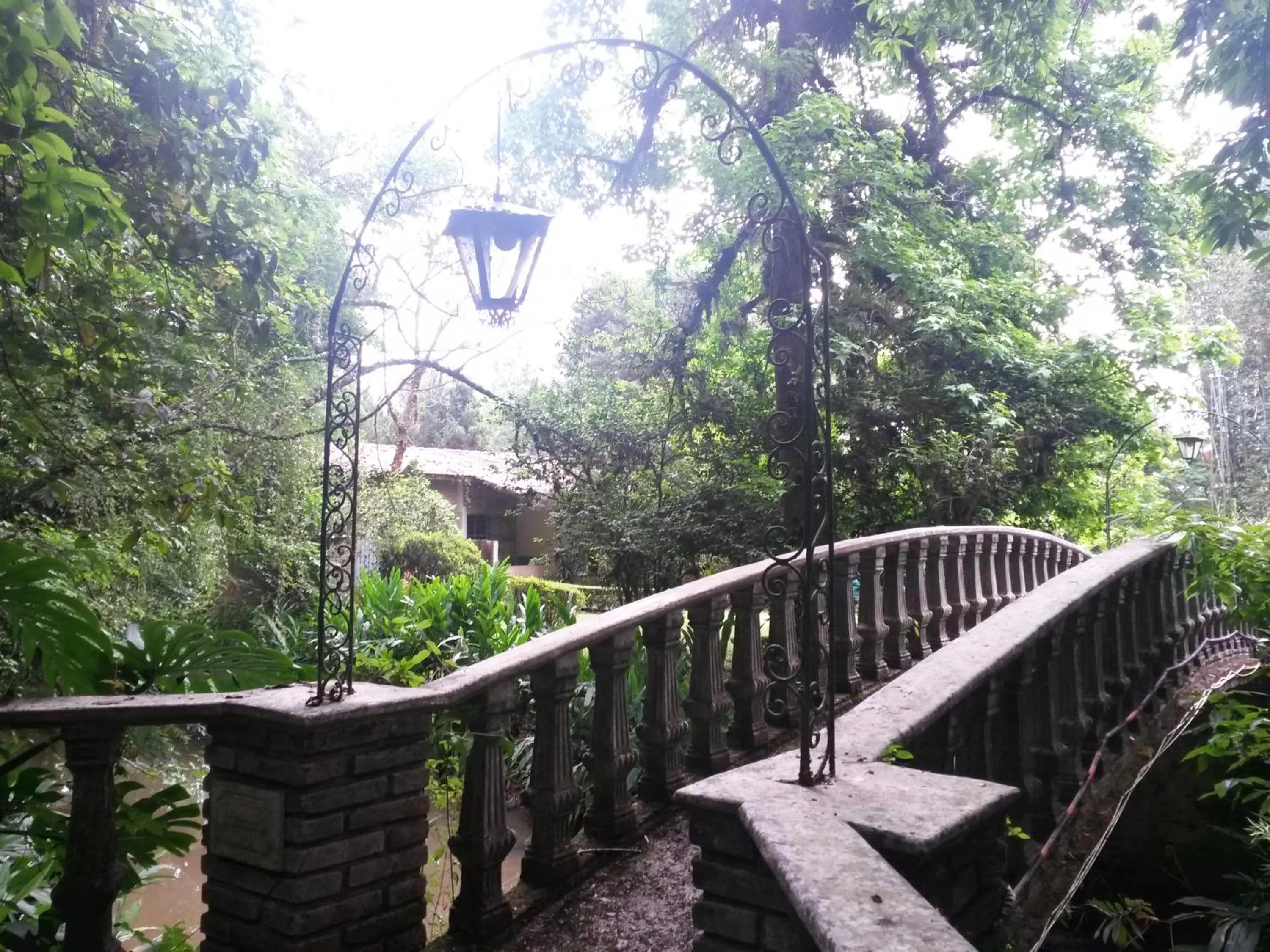 Natural landscape in Hotel Mi Ranchito