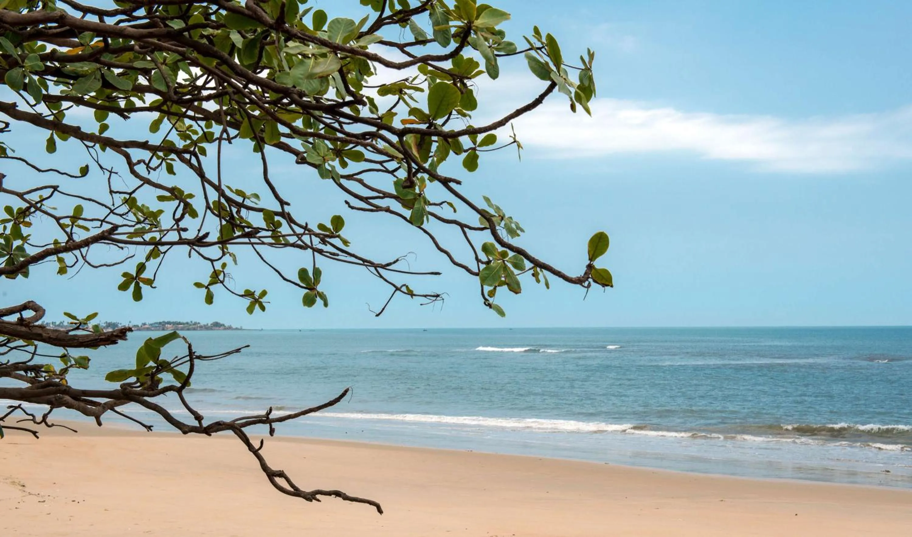 Beach in Radisson Blu Mammy Yoko Hotel