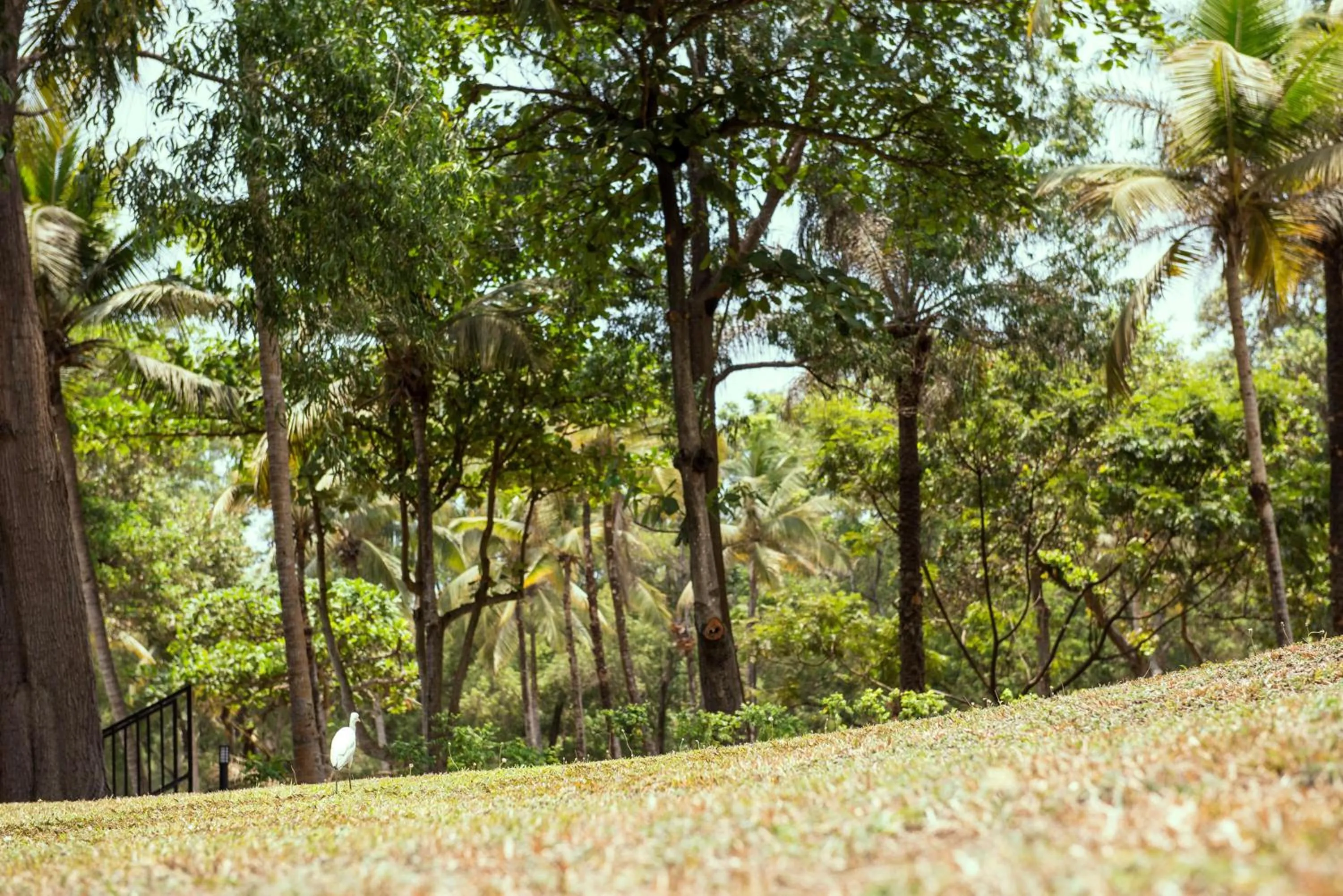 Property building in Radisson Blu Mammy Yoko Hotel