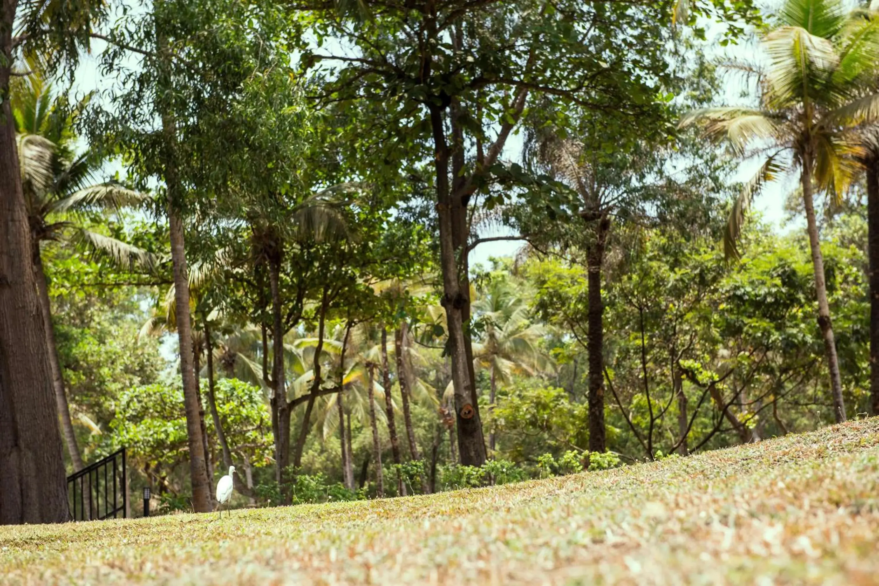 Property building in Radisson Blu Mammy Yoko Hotel Property building in Radisson Blu Mammy Yoko Hotel