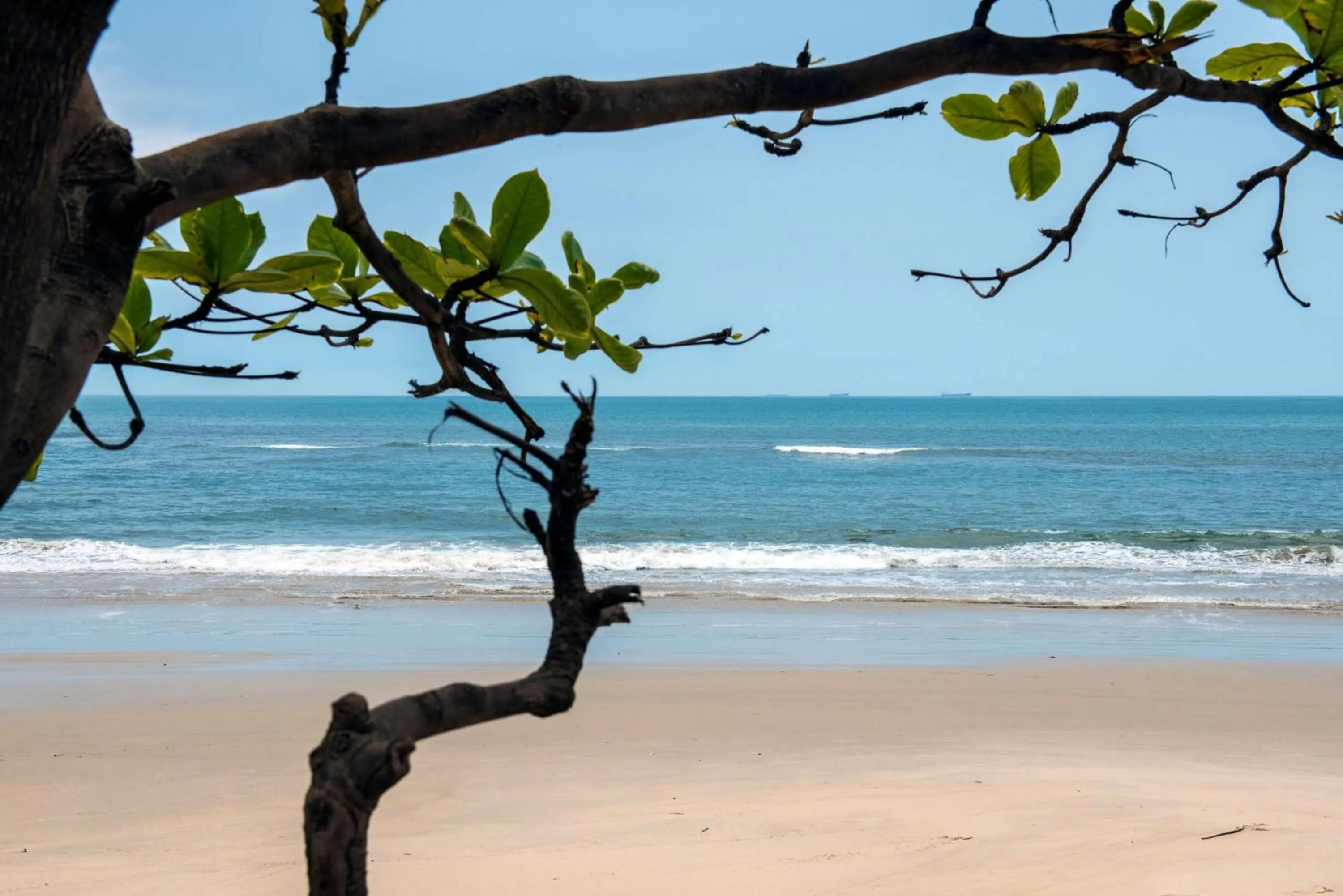 Beach in Radisson Blu Mammy Yoko Hotel
