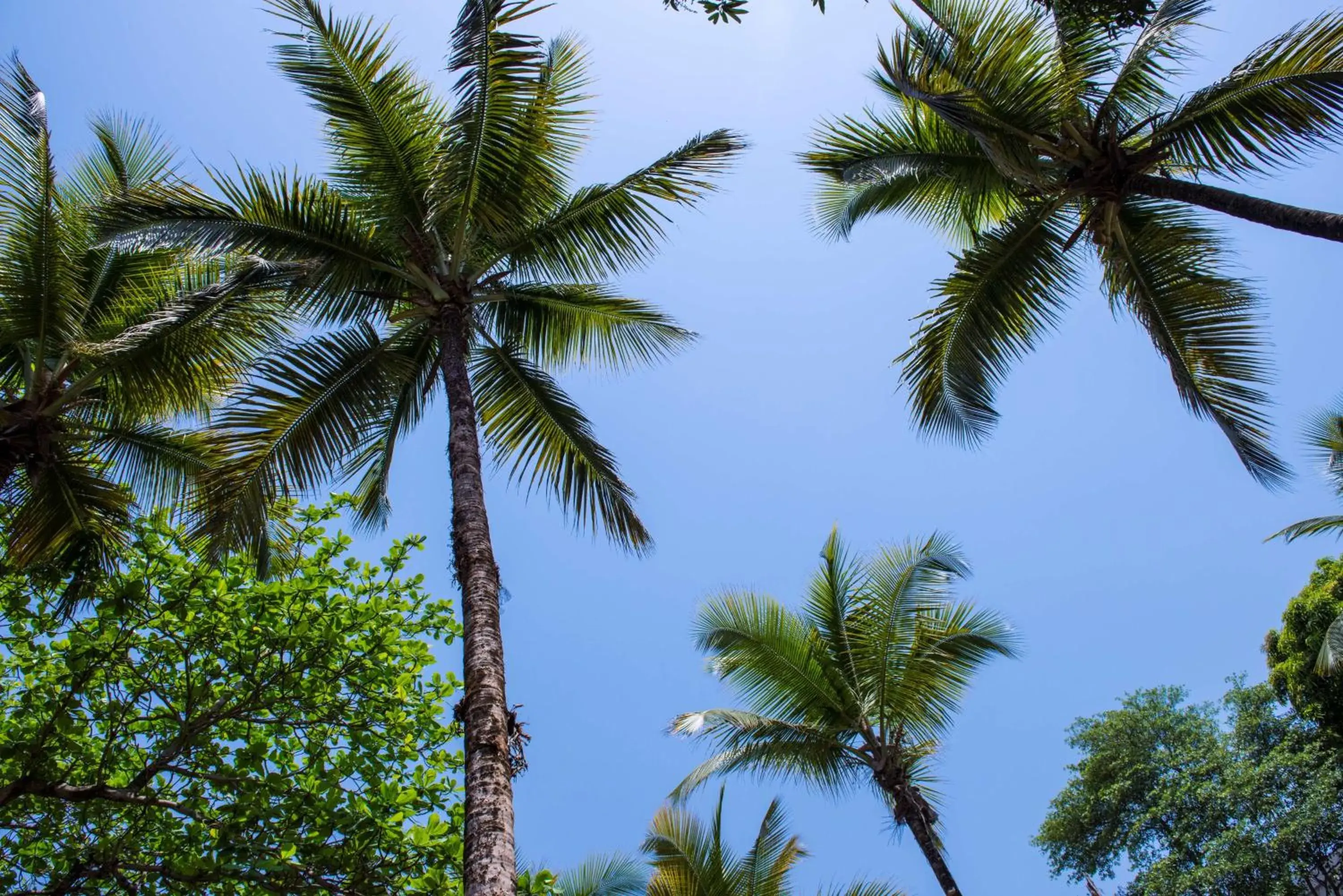 Property building in Radisson Blu Mammy Yoko Hotel Property building in Radisson Blu Mammy Yoko Hotel