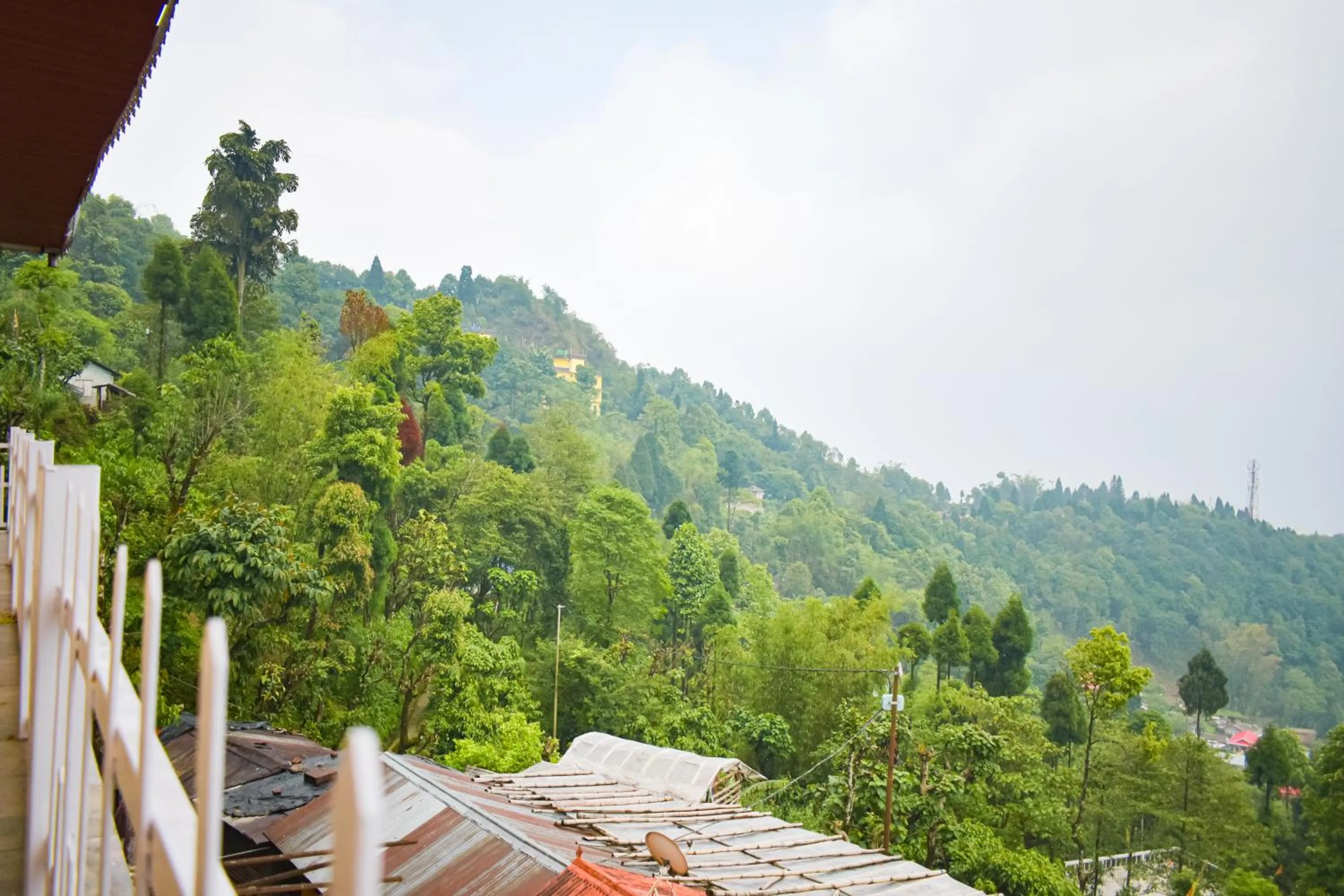 Natural landscape in La Das Treetops